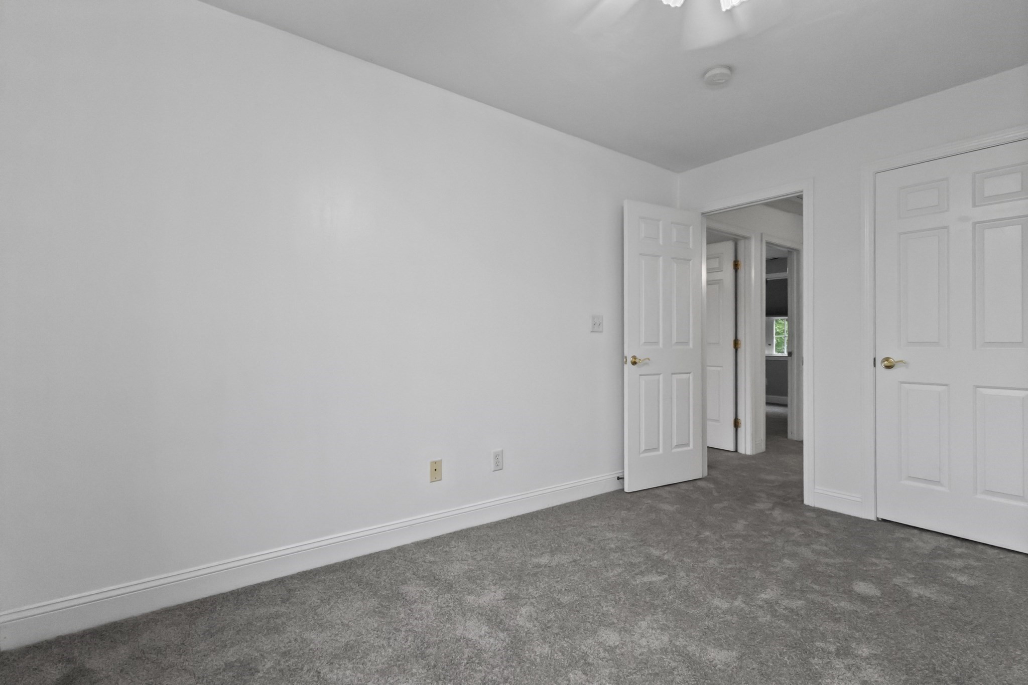 352 Grafton St Property Photo 29