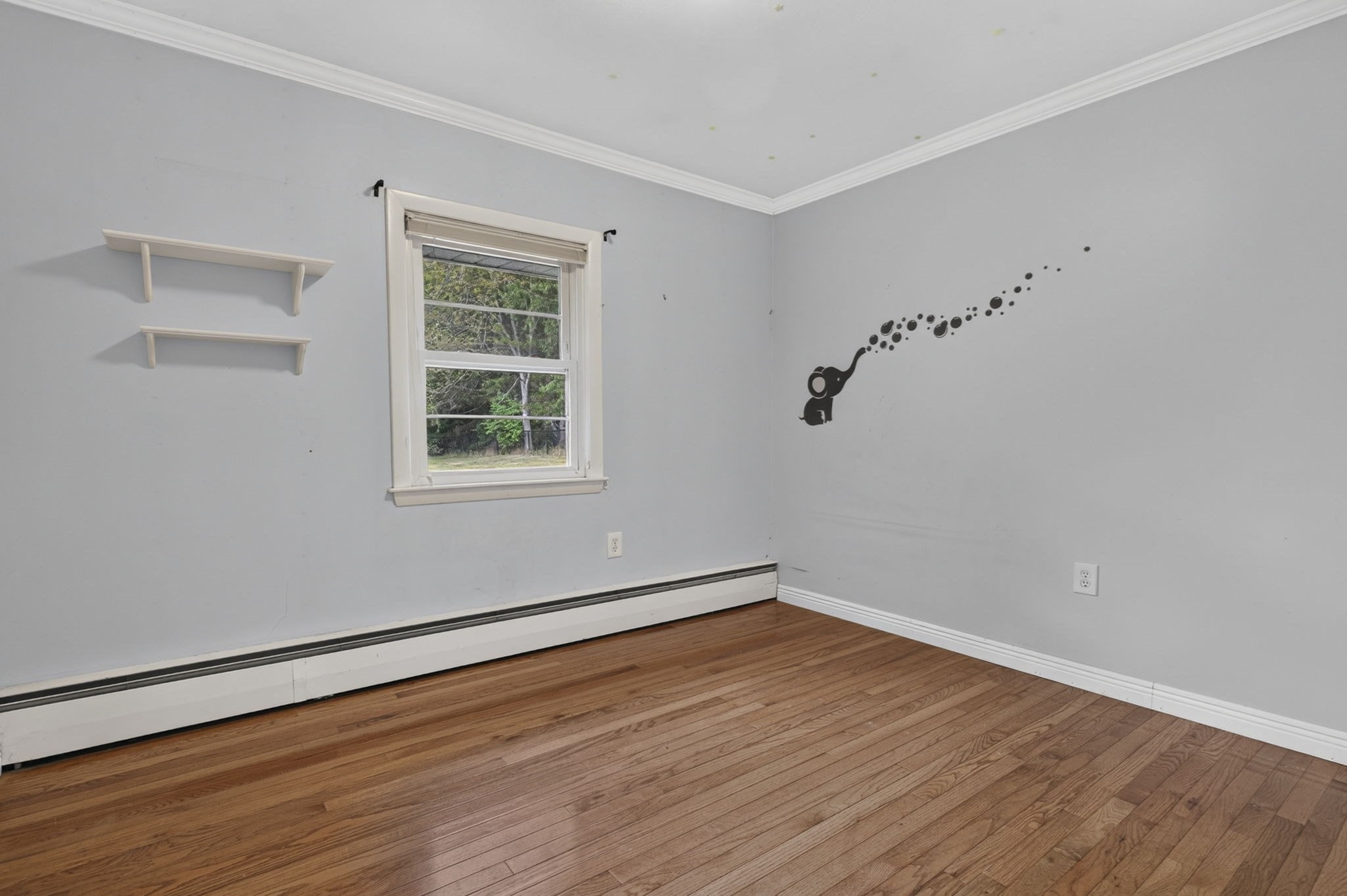 43 Madison St Property Photo 13