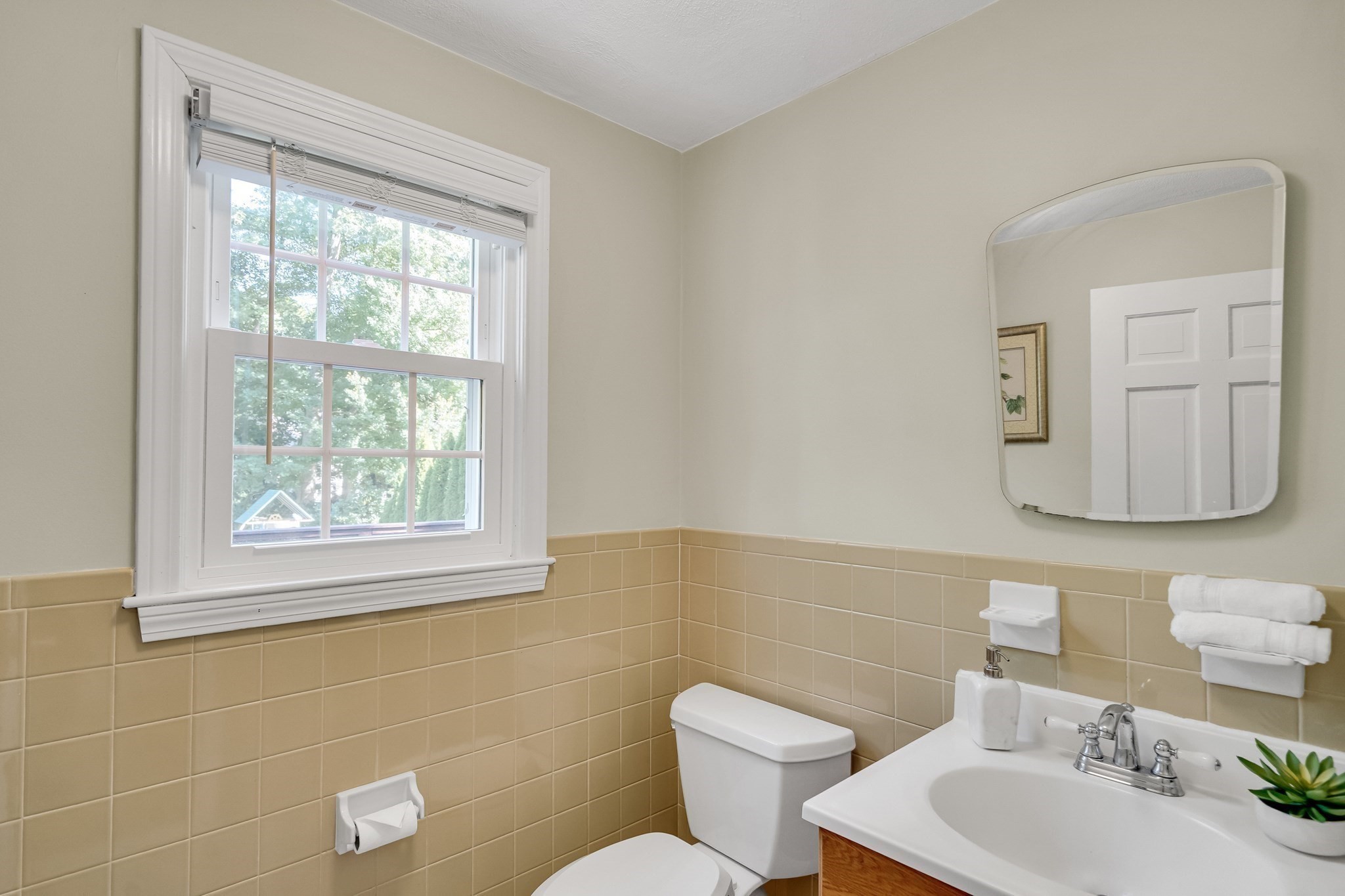 8 Barry Dr Property Photo 12