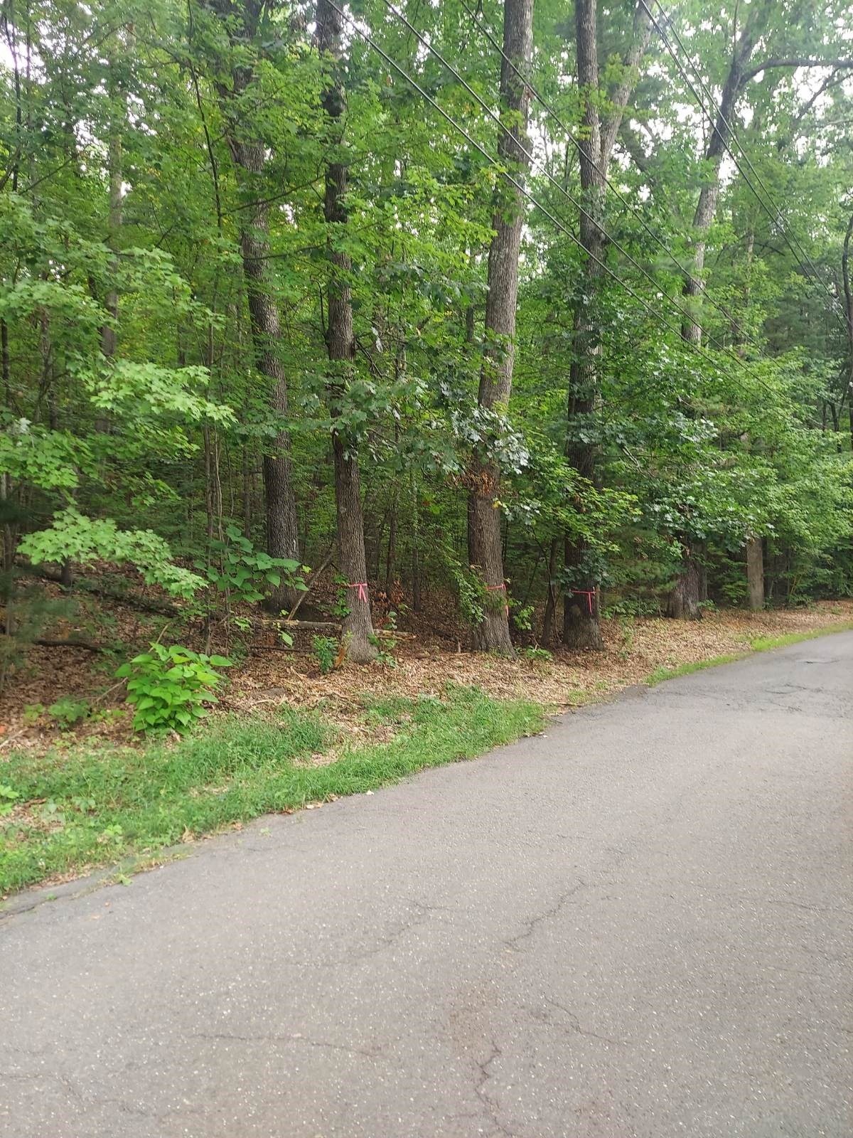 1005 Park Hill Road Property Photo 1