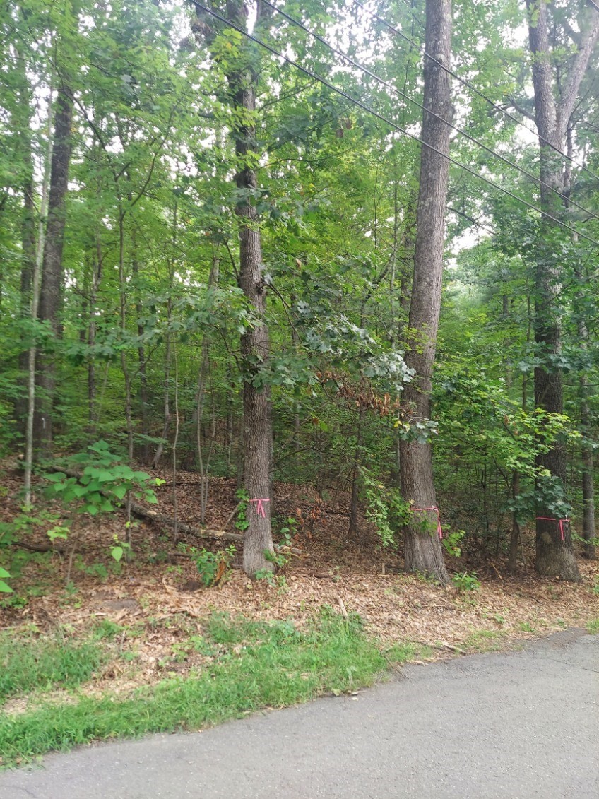 1005 Park Hill Road Property Photo 3