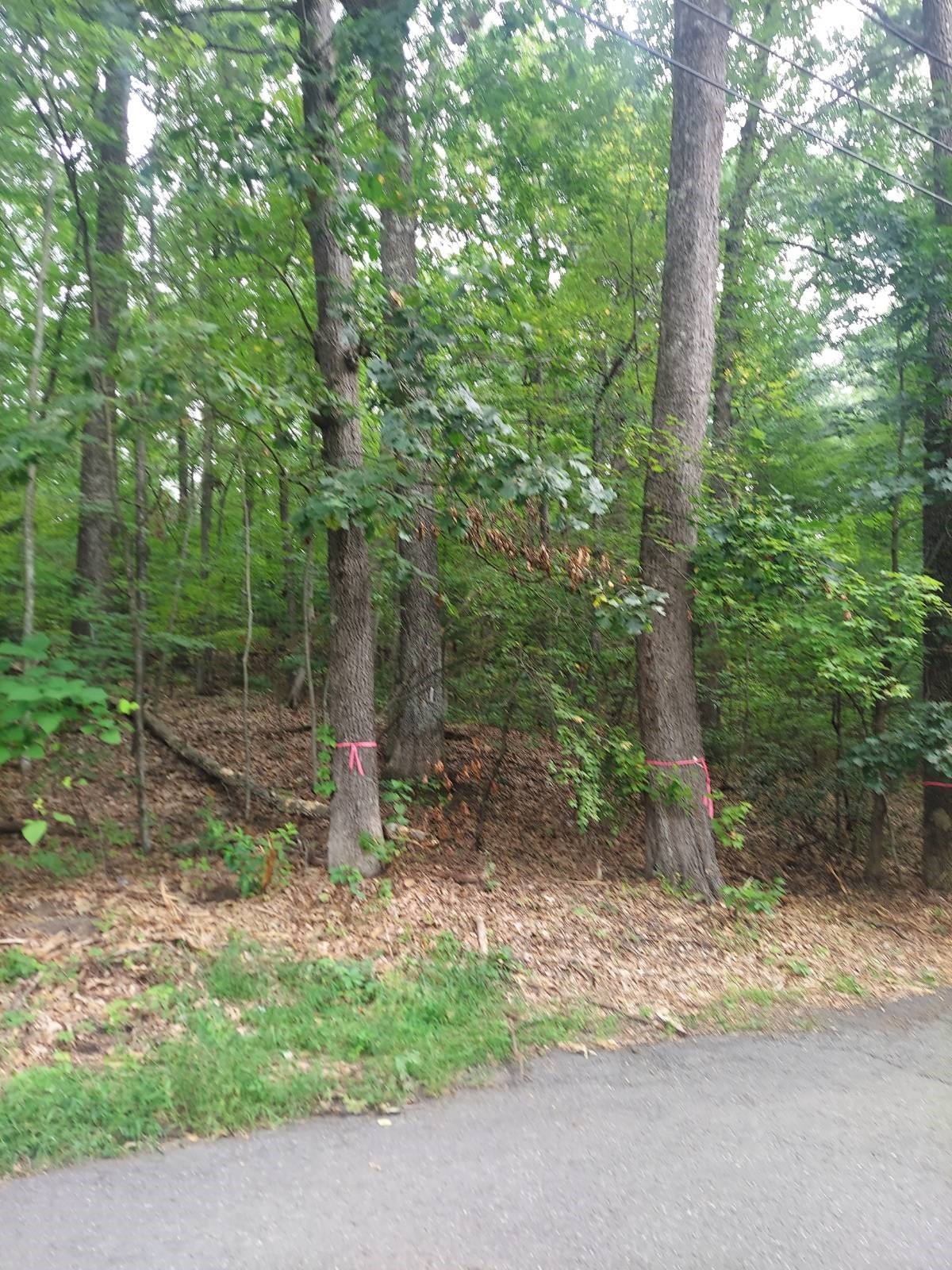 1005 Park Hill Road Property Photo 4