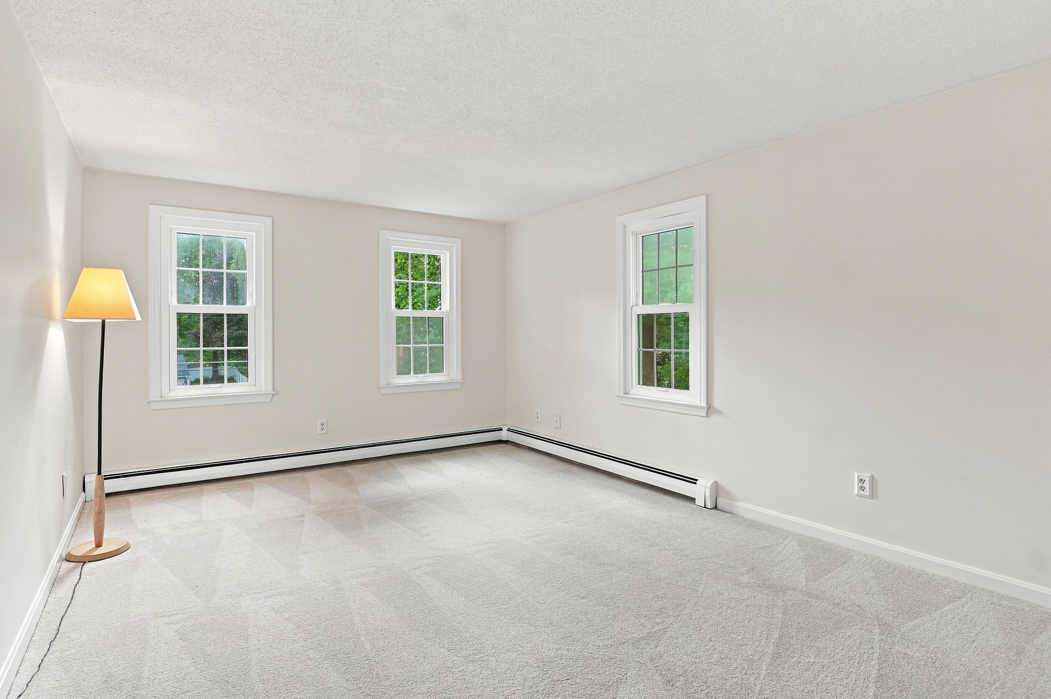 6 Carp Road Property Photo 19