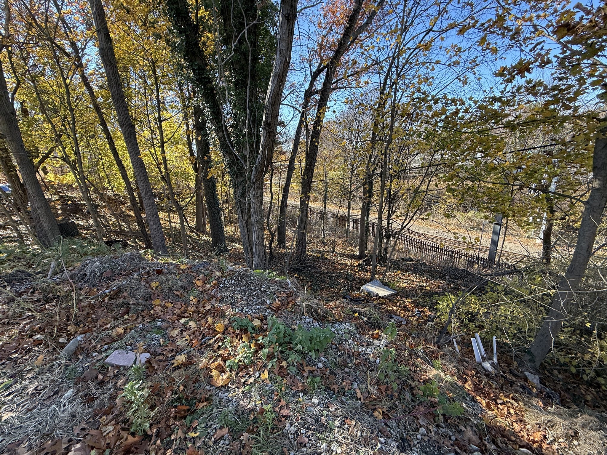 1139 Hyde Park Ave Property Photo 10