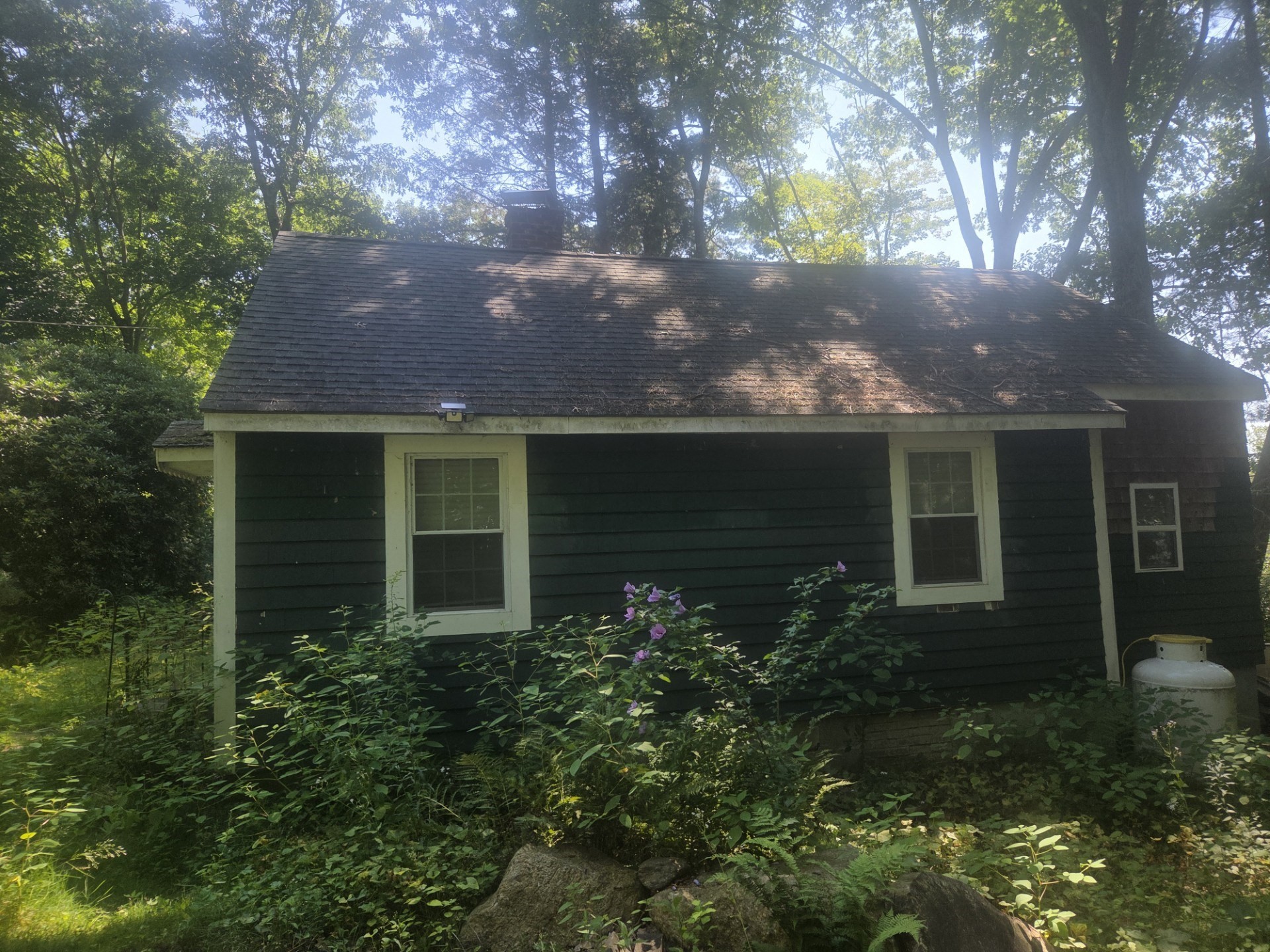 4 Lambs Grove Property Photo 1