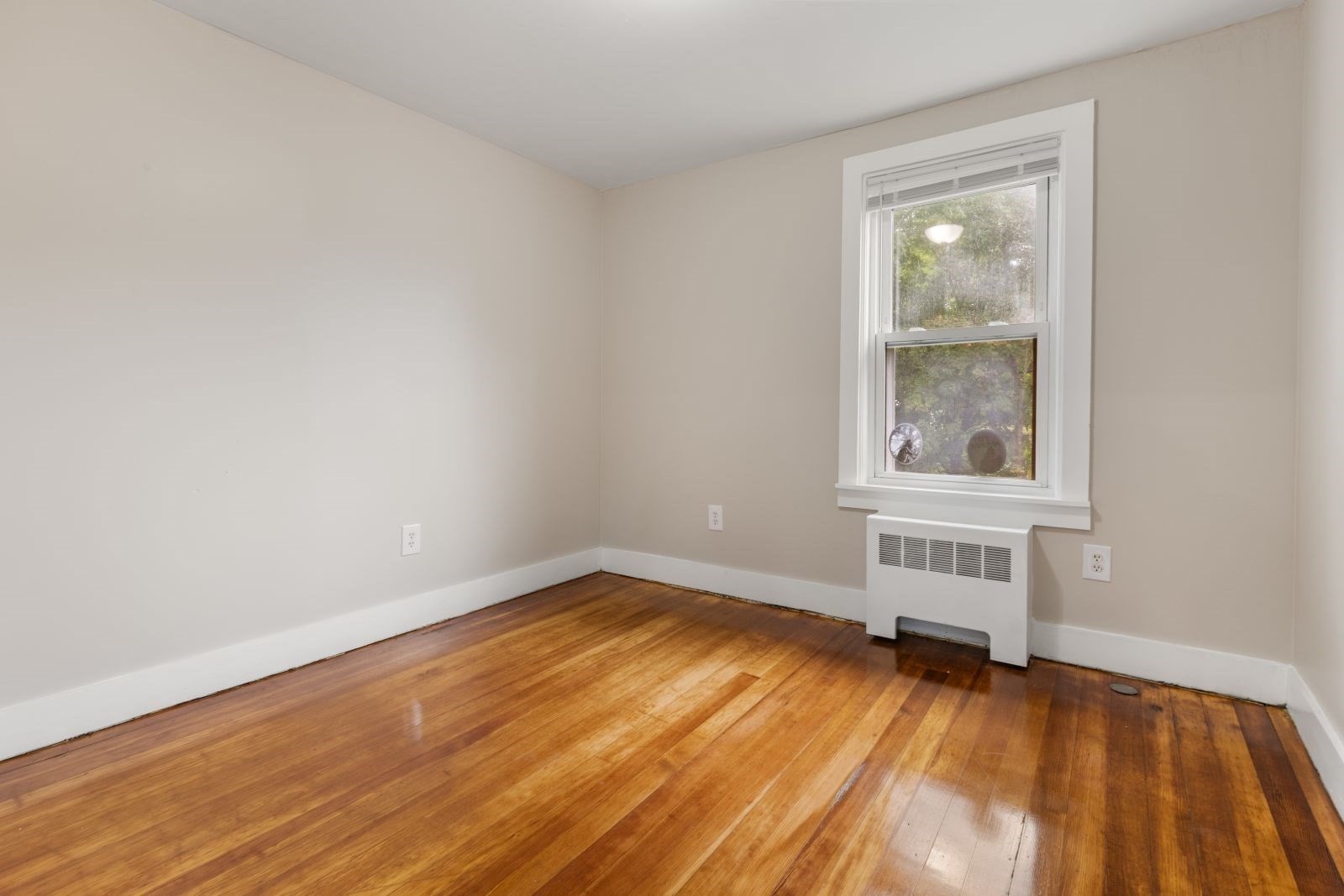 208 High St Property Photo 29