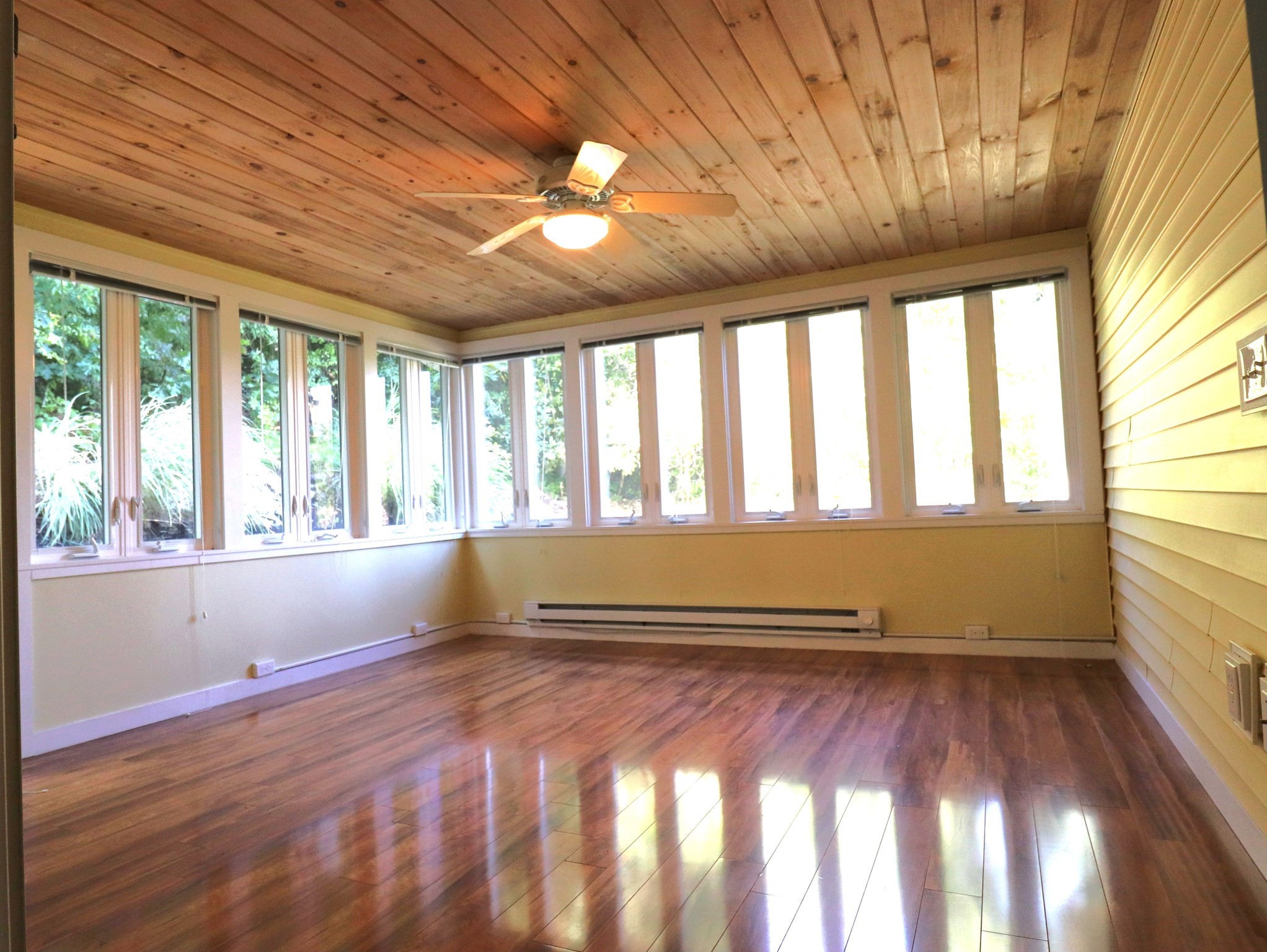 146 Walnut St Property Photo 11