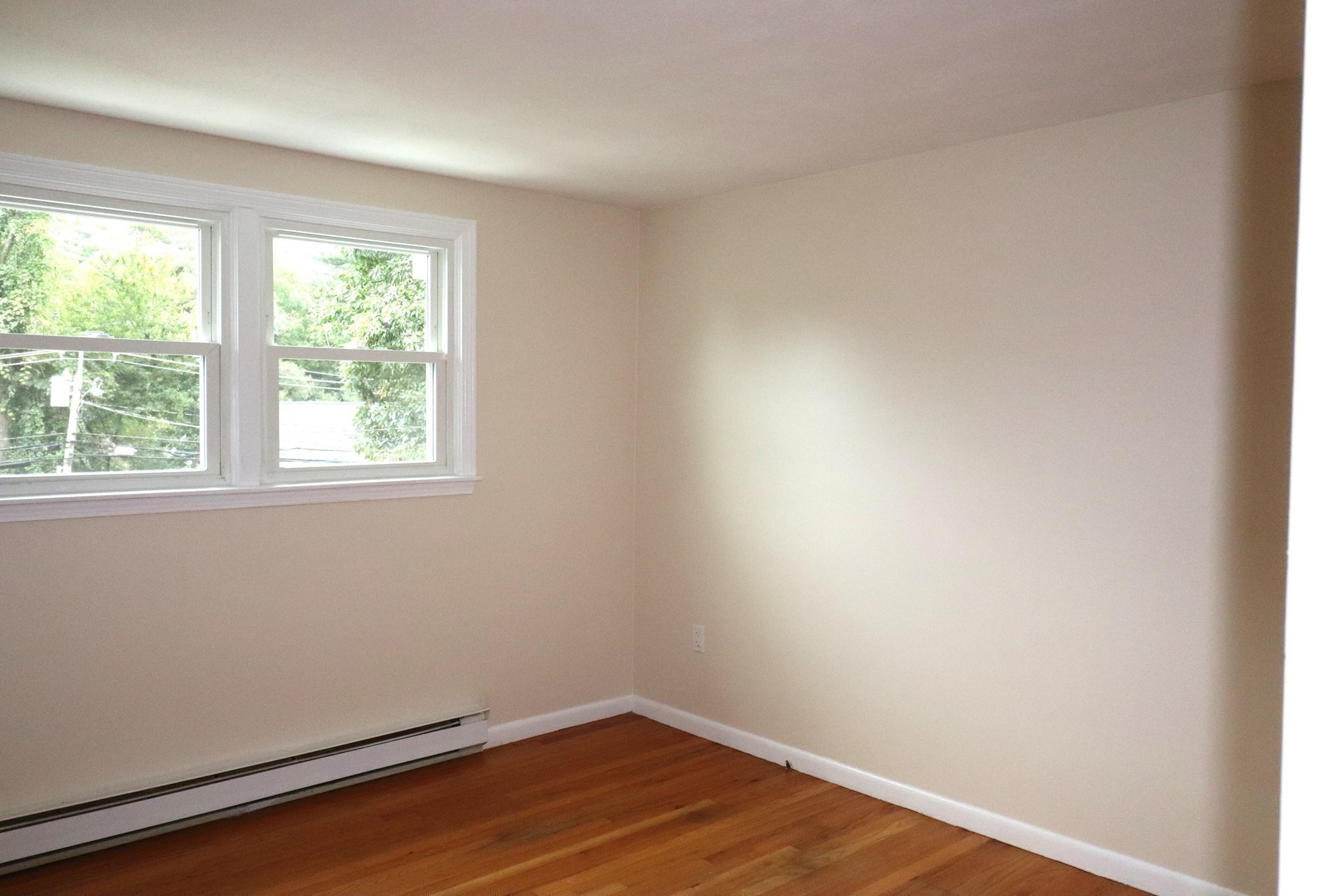 146 Walnut St Property Photo 16