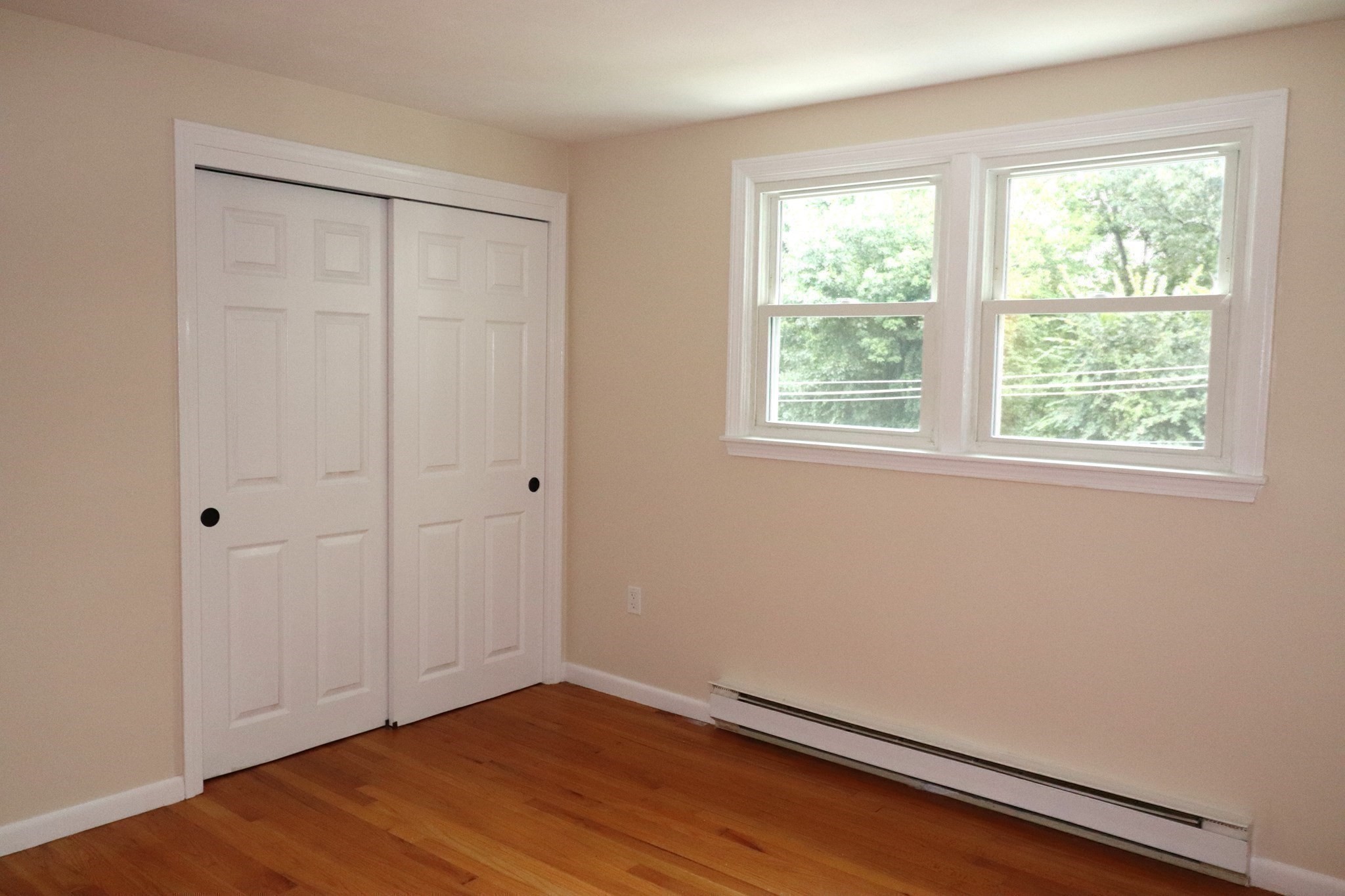 146 Walnut St Property Photo 18