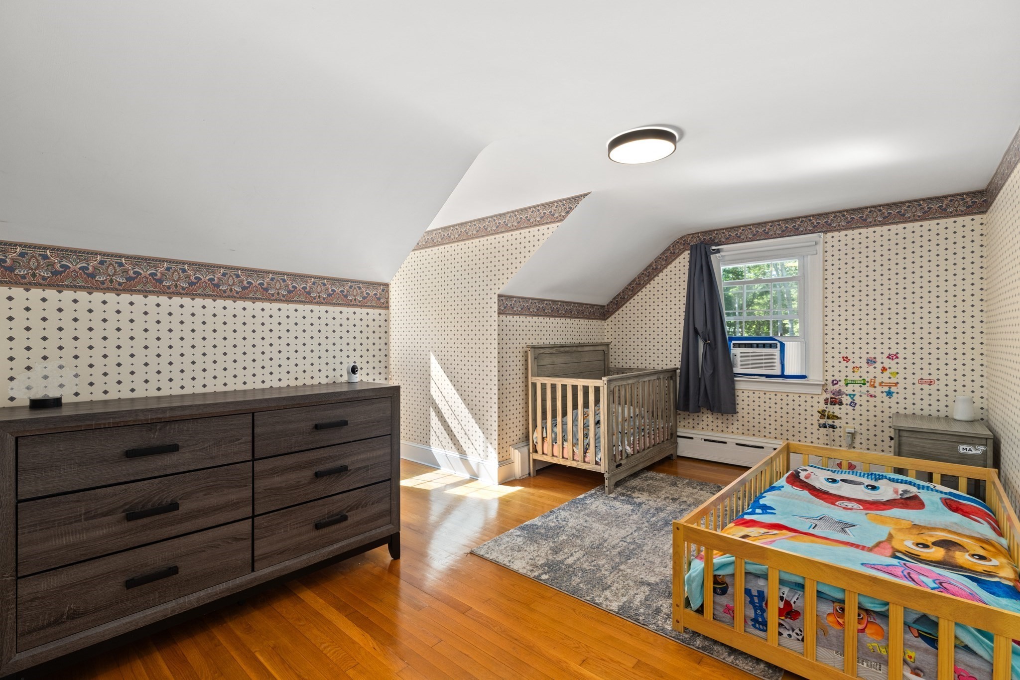 53 Eleanor St Property Photo 17