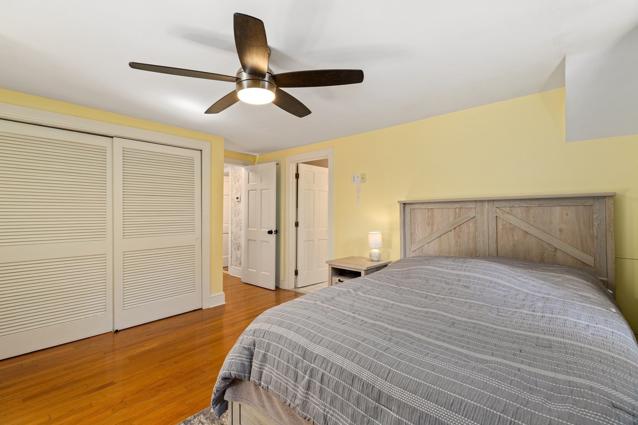 53 Eleanor St Property Photo 25