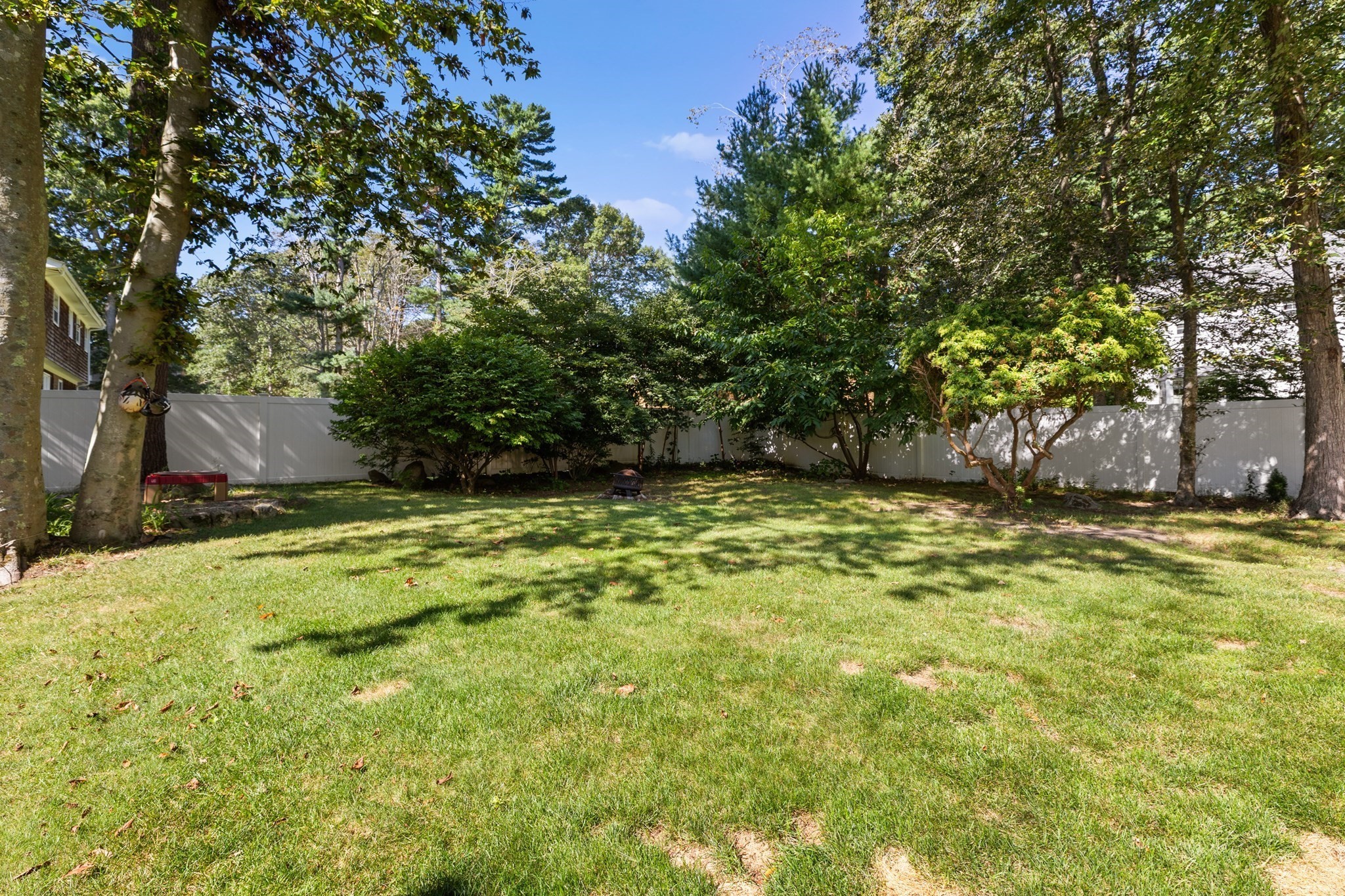 53 Eleanor St Property Photo 29