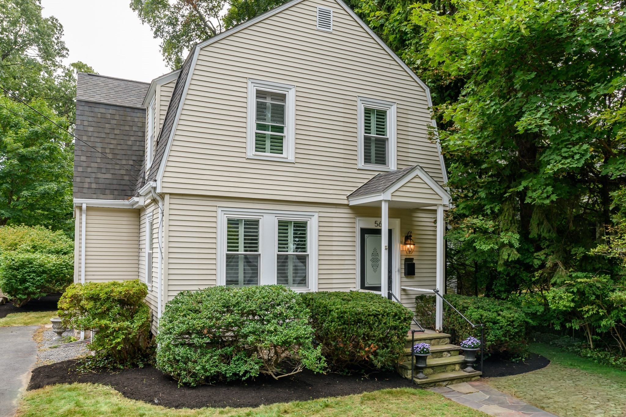 56 Curve Street Property Photo 1