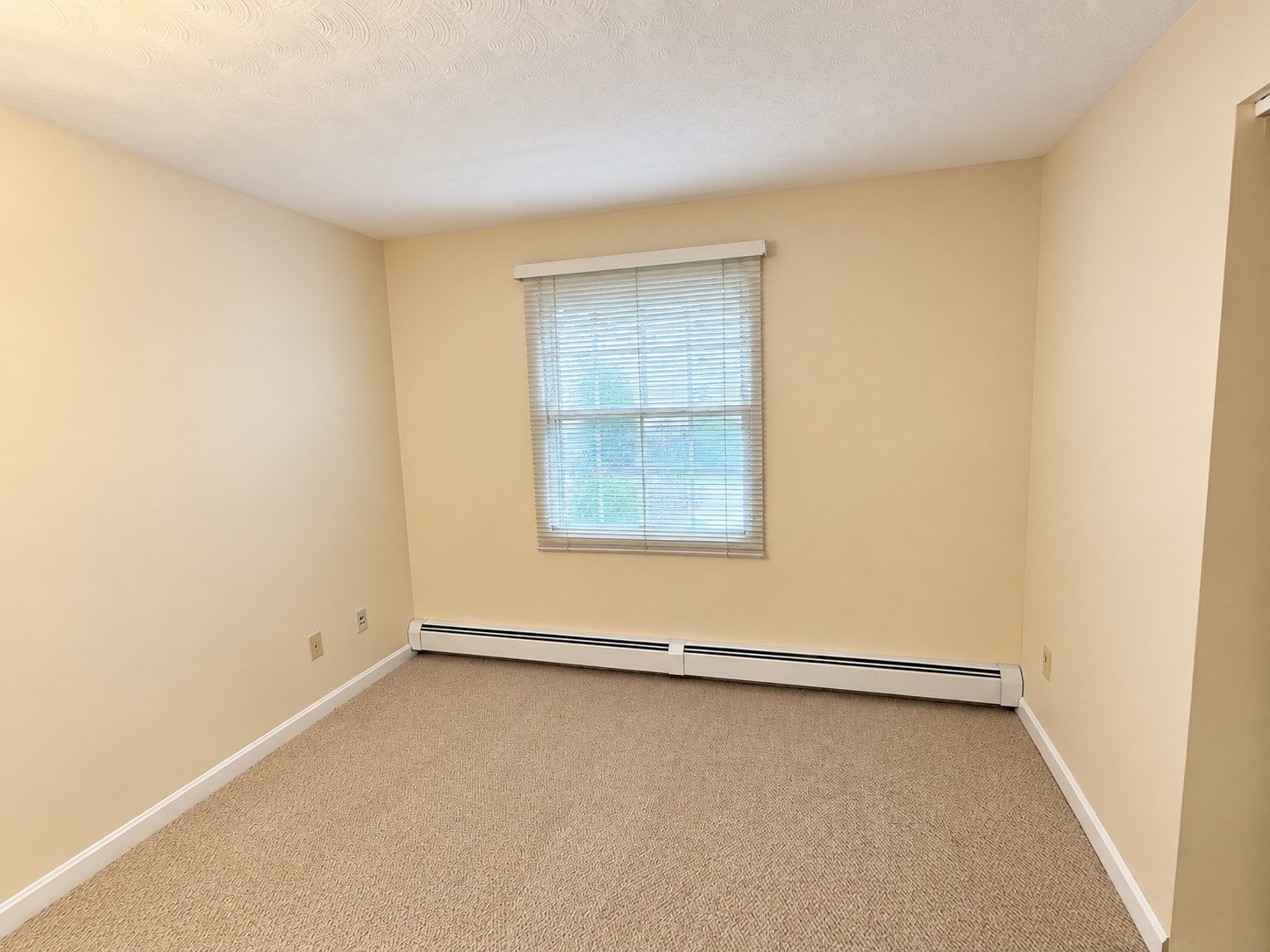 24 Wedgemere Rd Property Photo 19