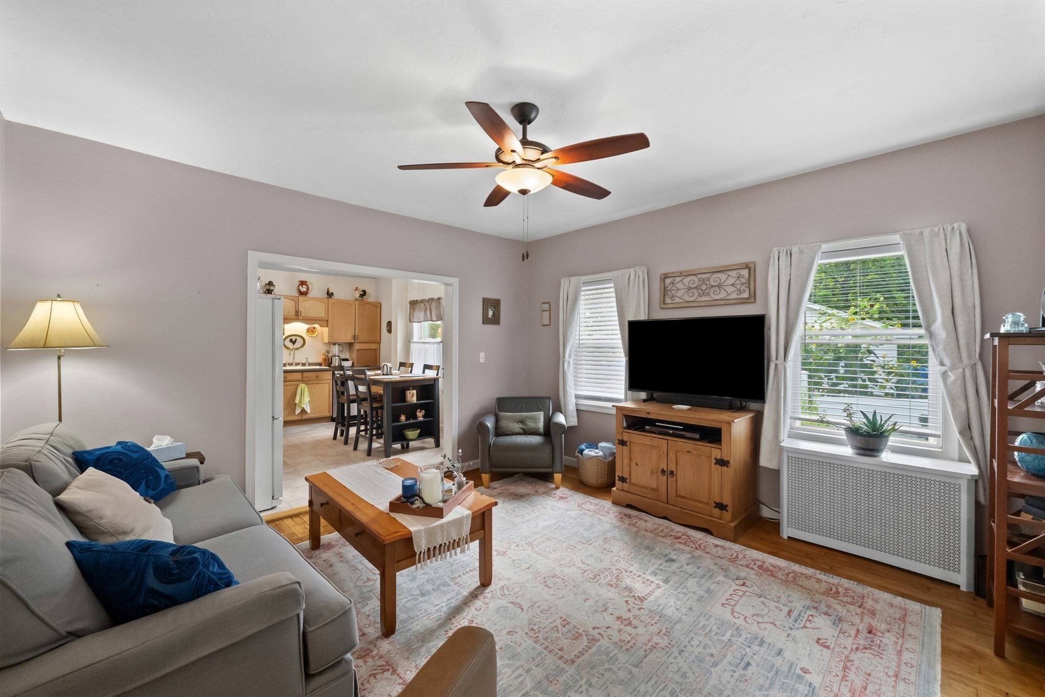 46 Chester Street Property Photo 8