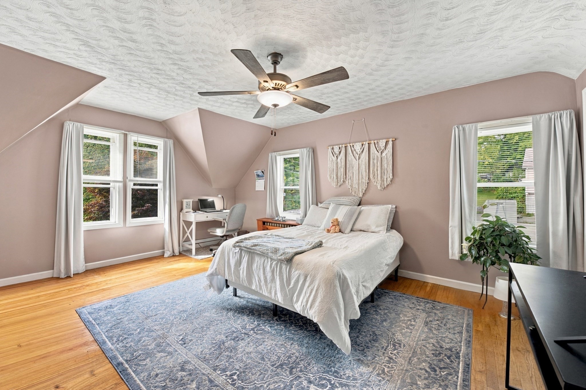46 Chester Street Property Photo 26