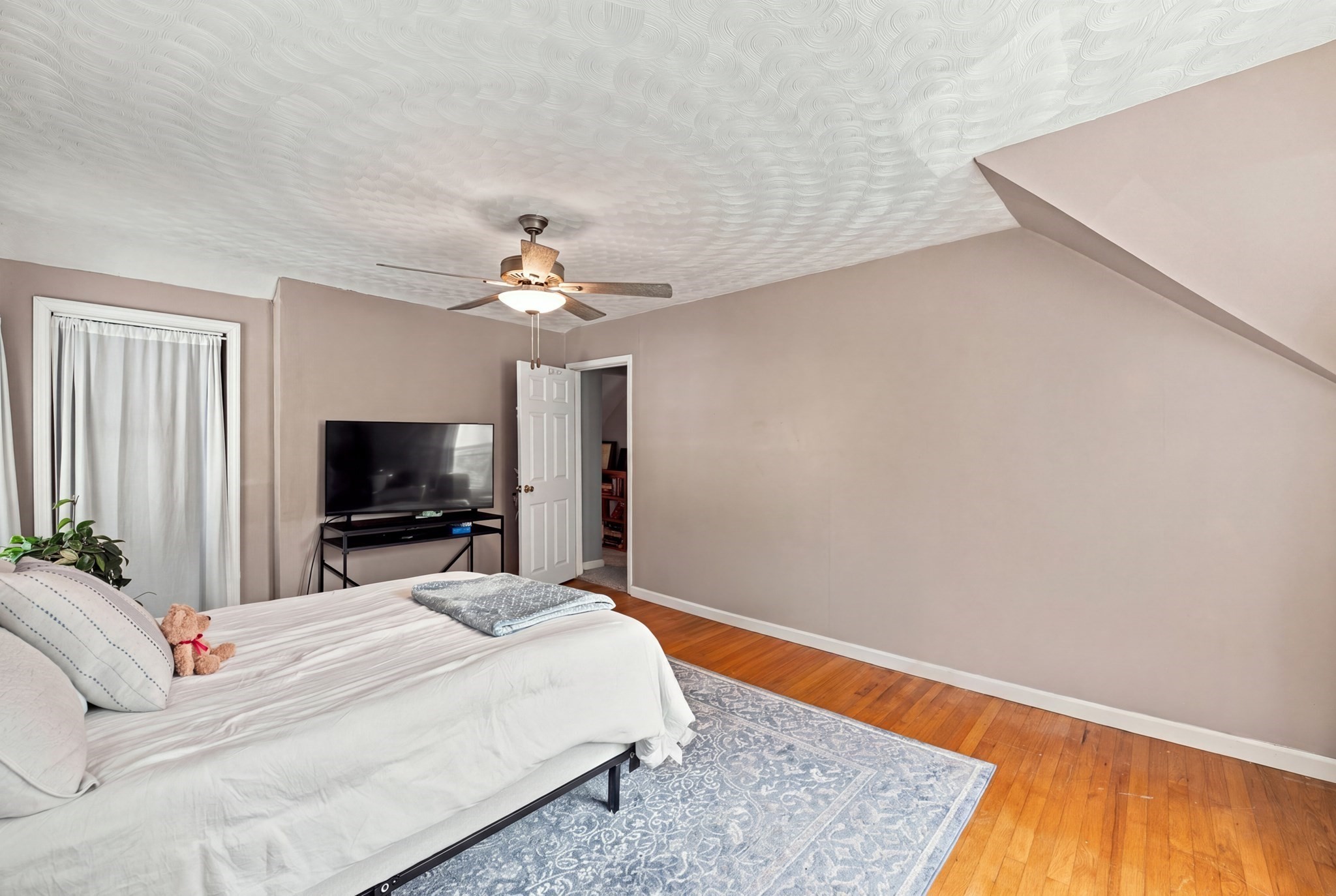 46 Chester Street Property Photo 27