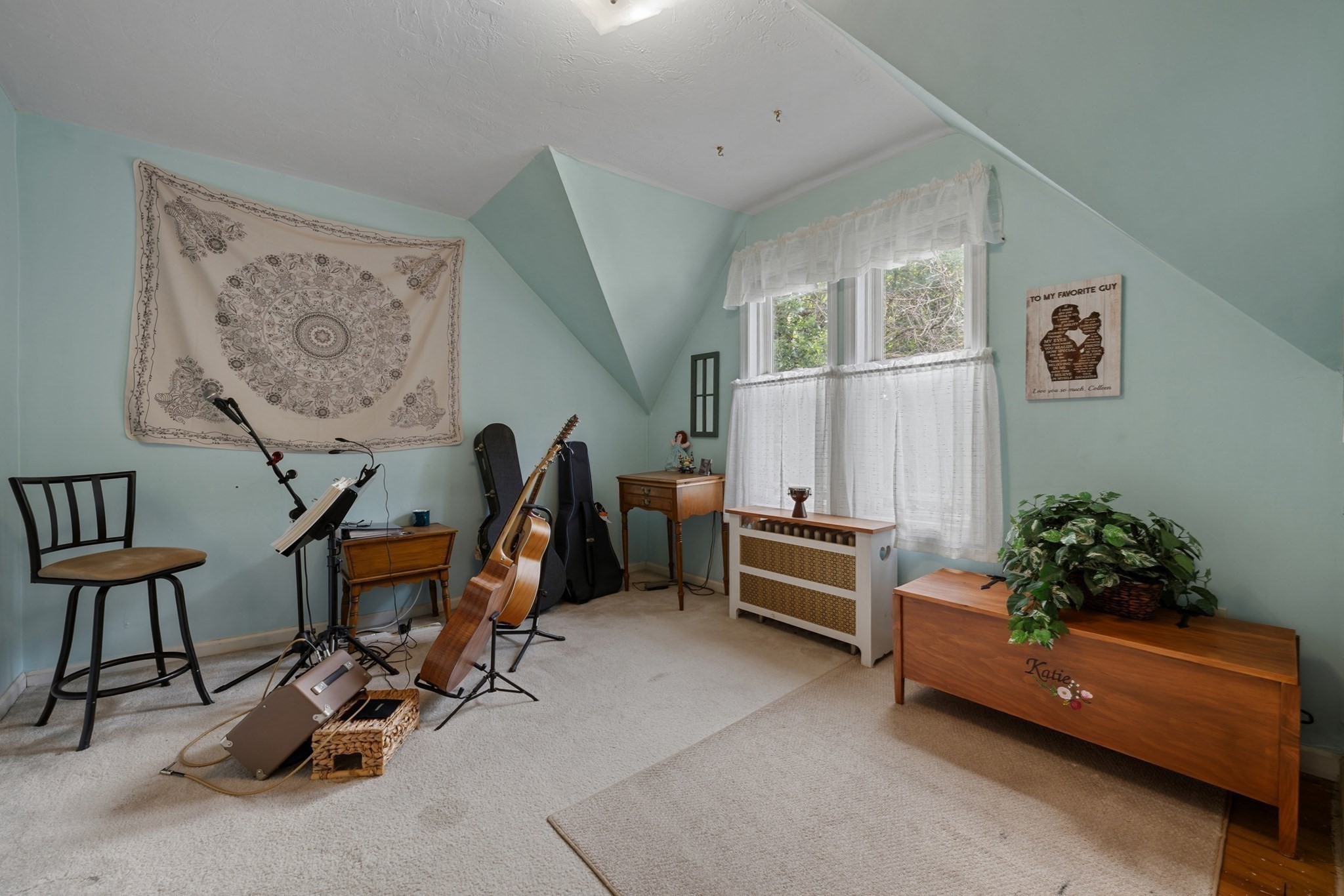 46 Chester Street Property Photo 28