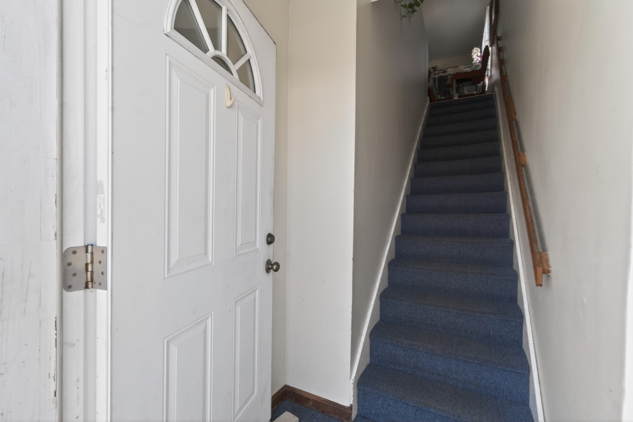 227-229 Newton Street Property Photo 33