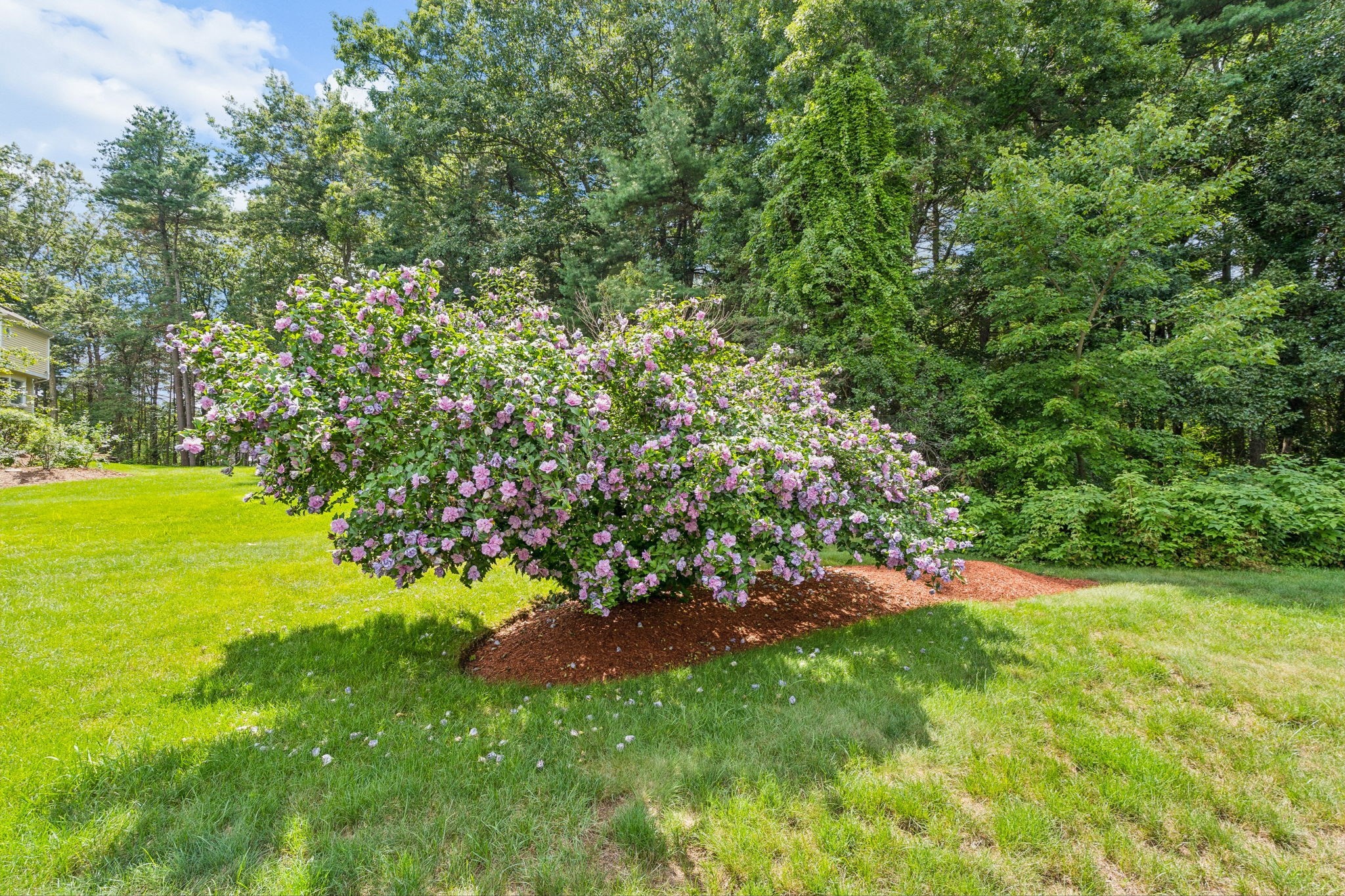 5 Buckskin Lane Property Photo 42