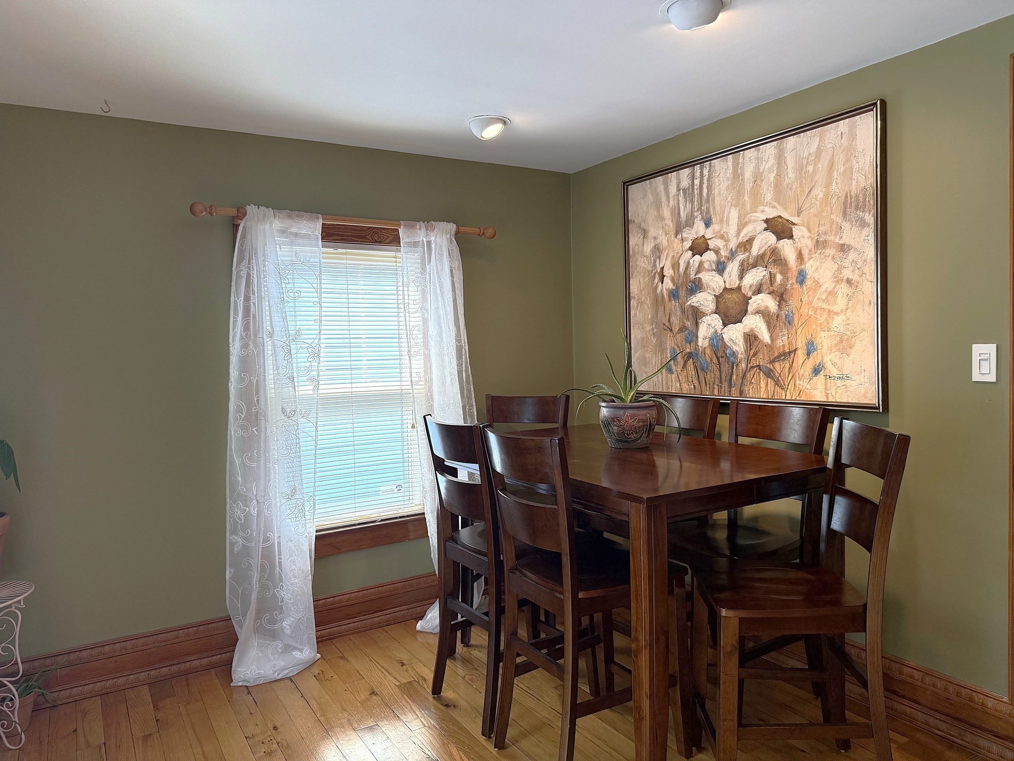 282 Boutelle St Property Photo 17