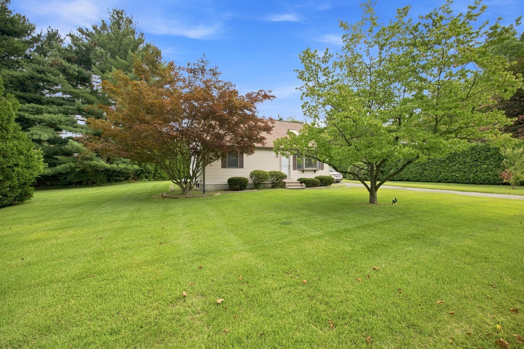 10 Mountianview Street Property Photo 42