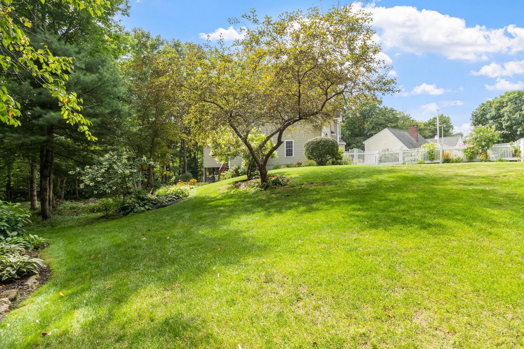 71 Nicolle Ter Property Photo 36