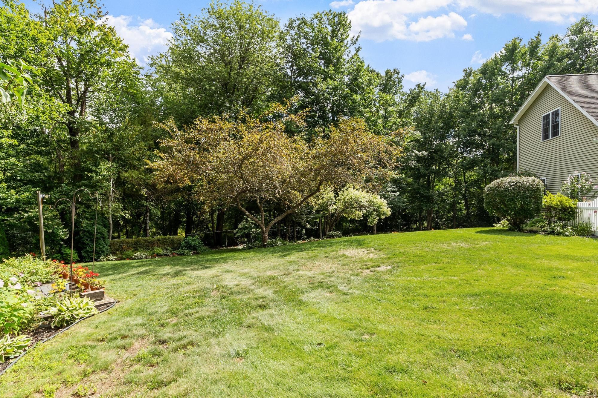71 Nicolle Ter Property Photo 37