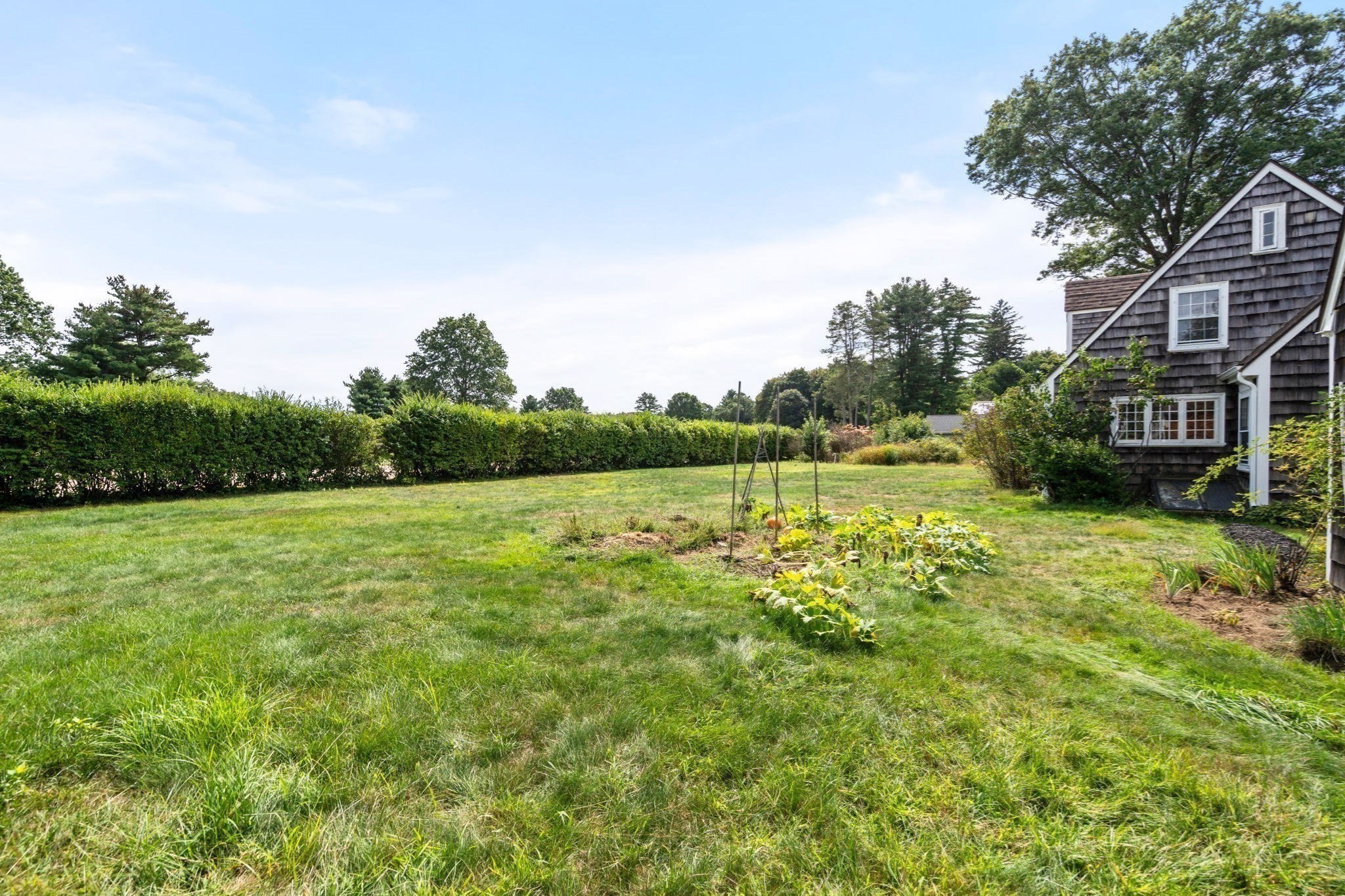 60 Wellesley Street Property Photo 35