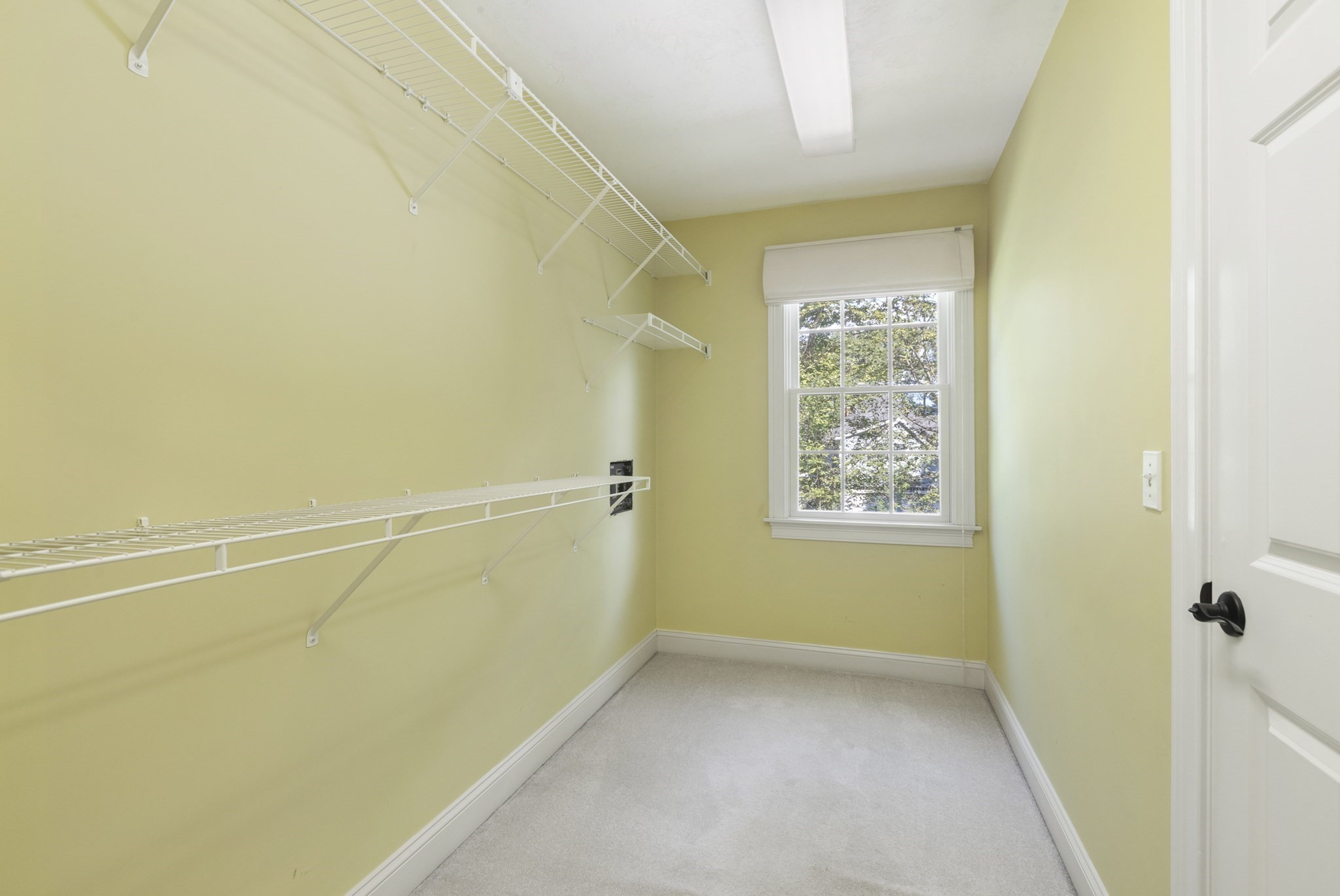 8 Wildewood Drive Property Photo 29