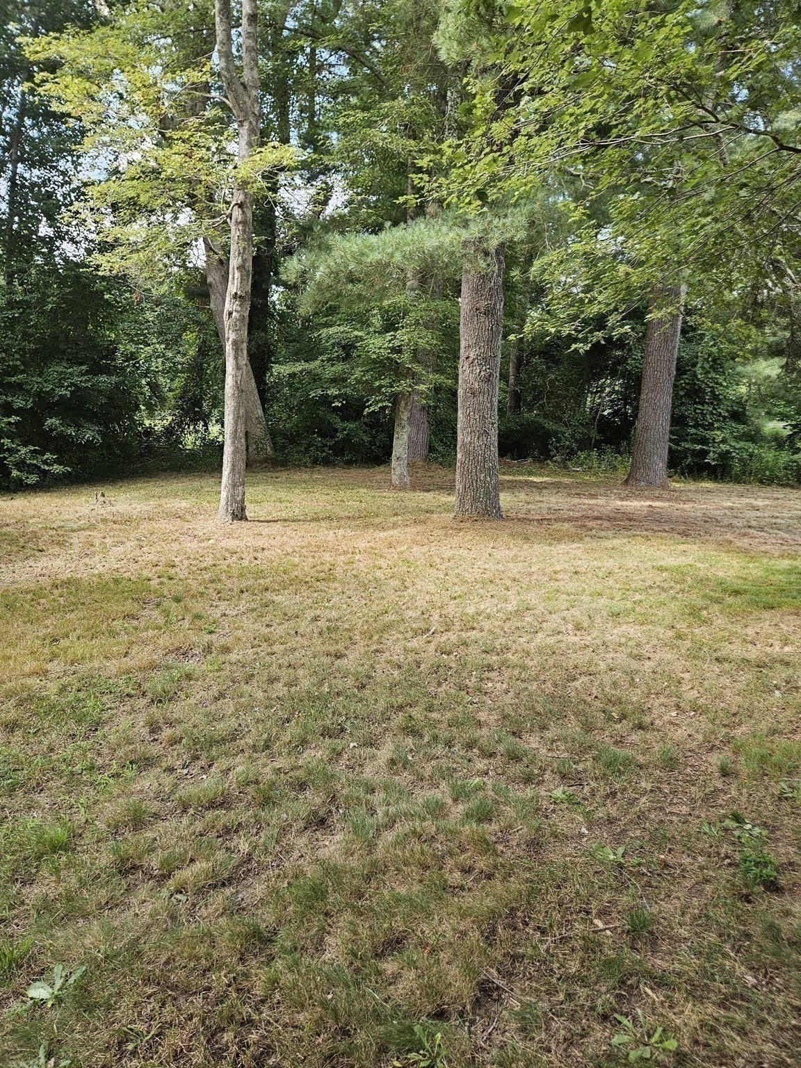115 Acushnet Rd Property Photo 26