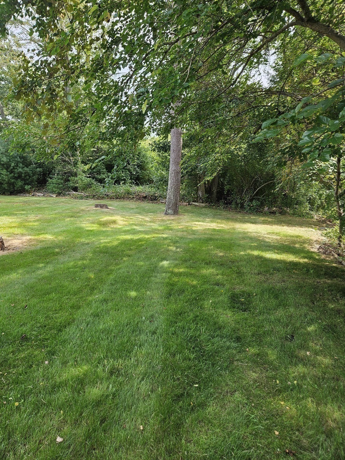 115 Acushnet Rd Property Photo 28