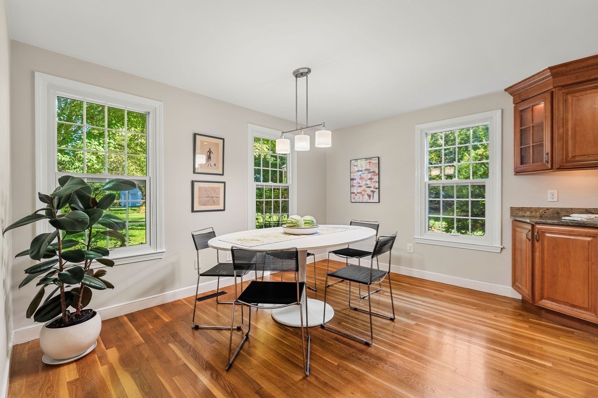 1015 Massachusetts Ave # 1015 Property Photo 8