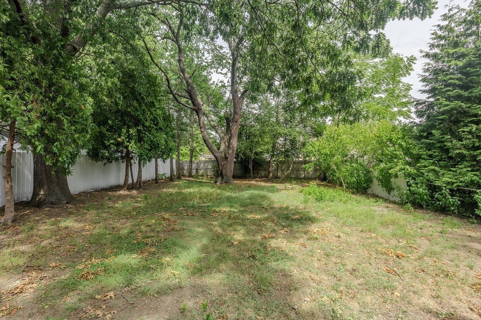 178 Evans Street Property Photo 23