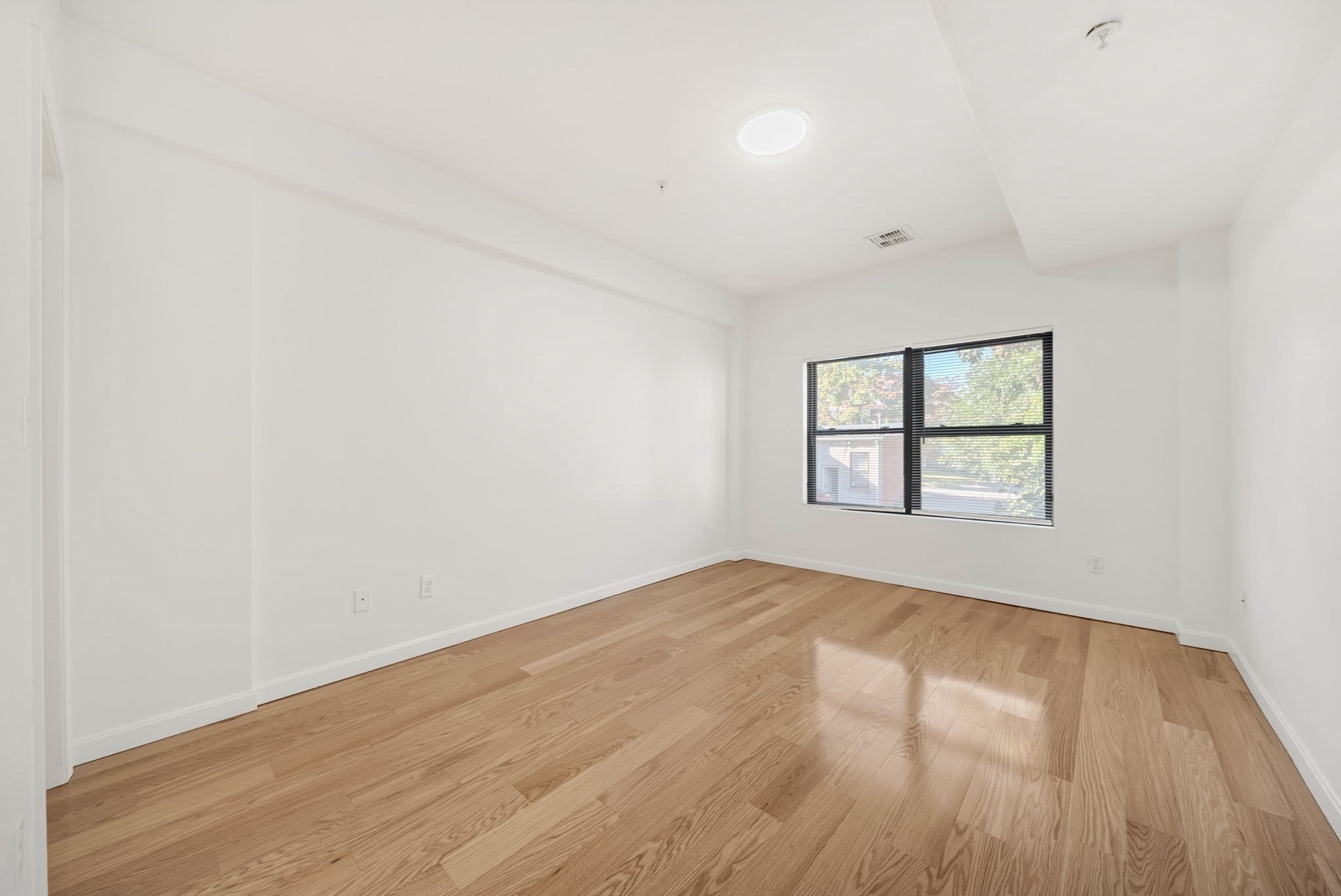 157 Beale Street # 5 Property Photo 22