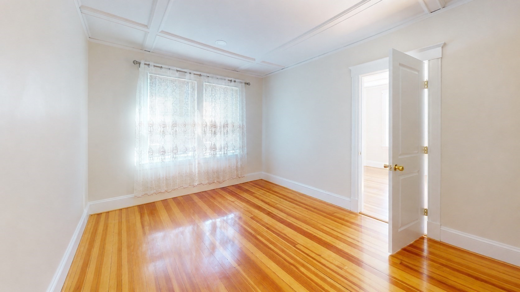 21 Palmer St Property Photo 15