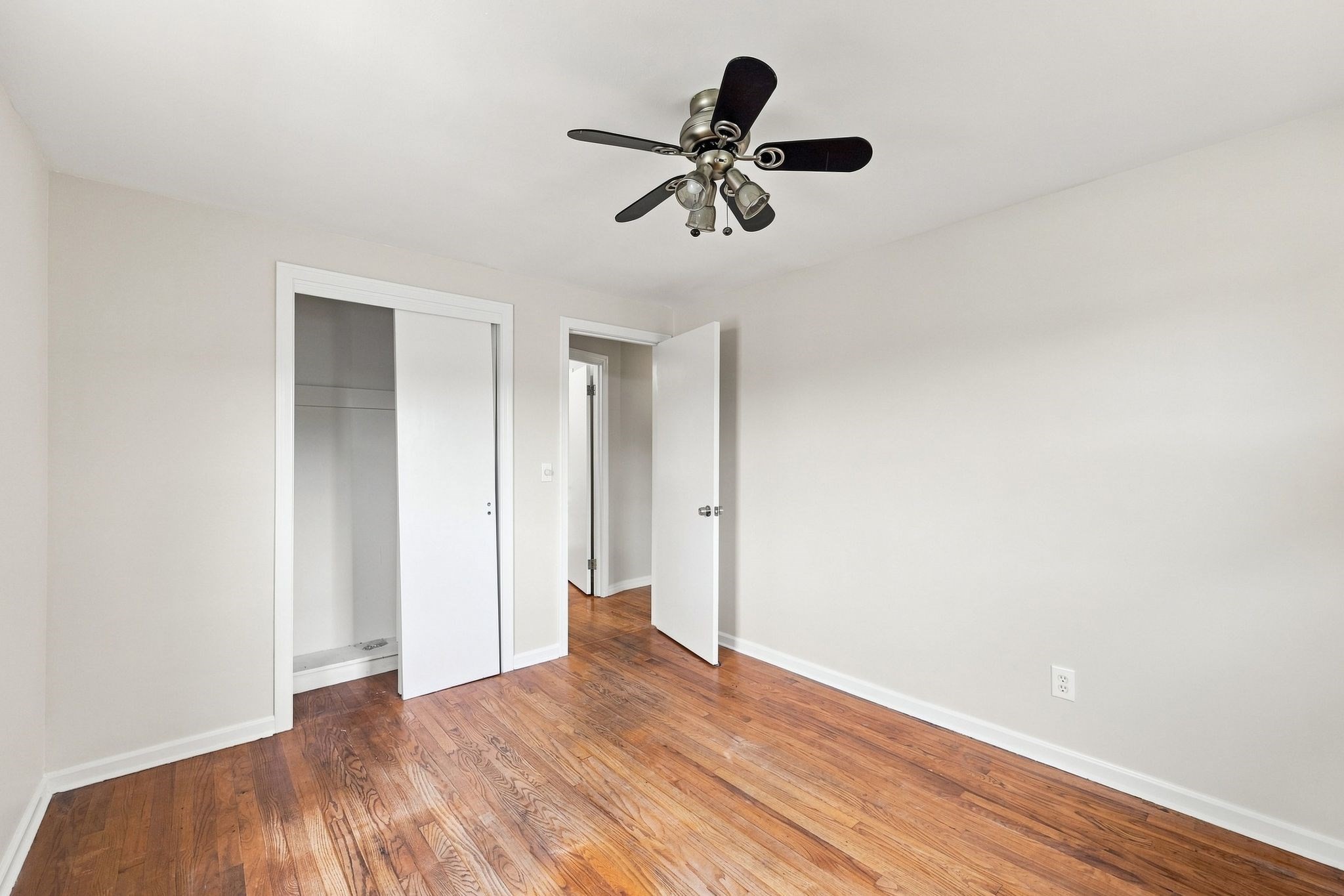 76 Daley St Property Photo 29