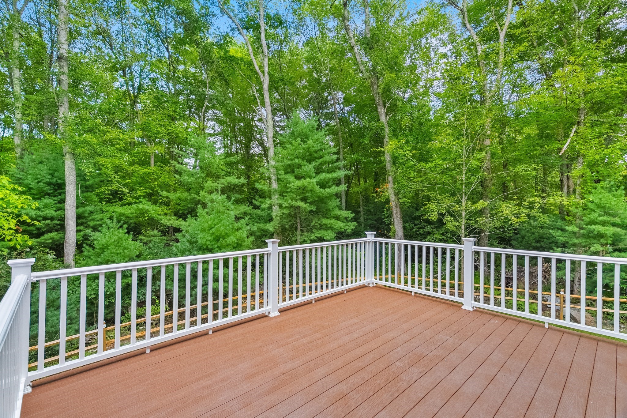 163 Hope St Property Photo 8