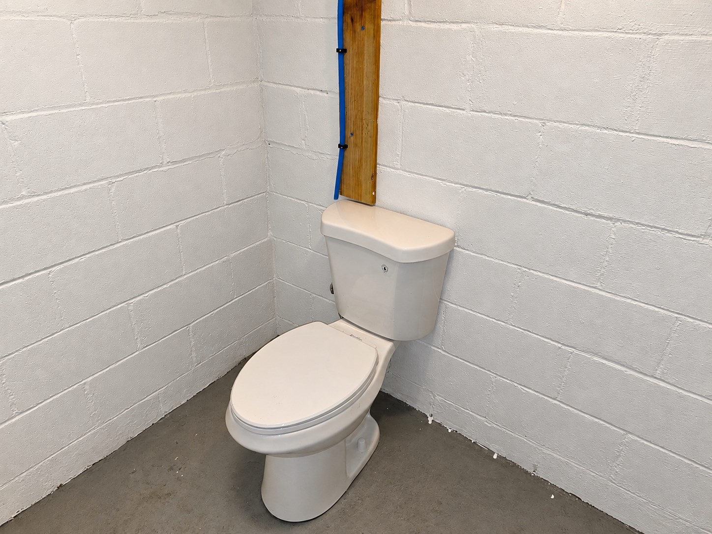 53 Camden Street Property Photo 33