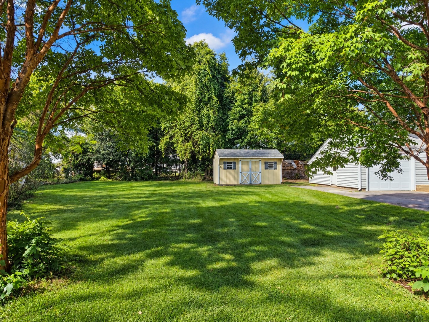 53 Camden Street Property Photo 37