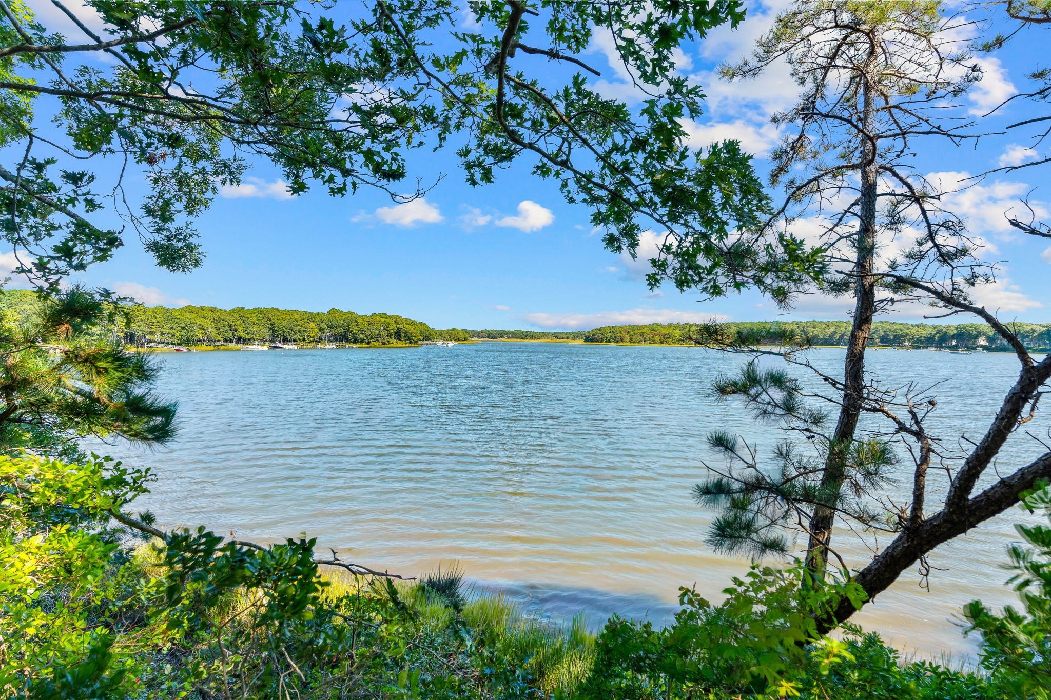 71 Tide Run Property Photo 4