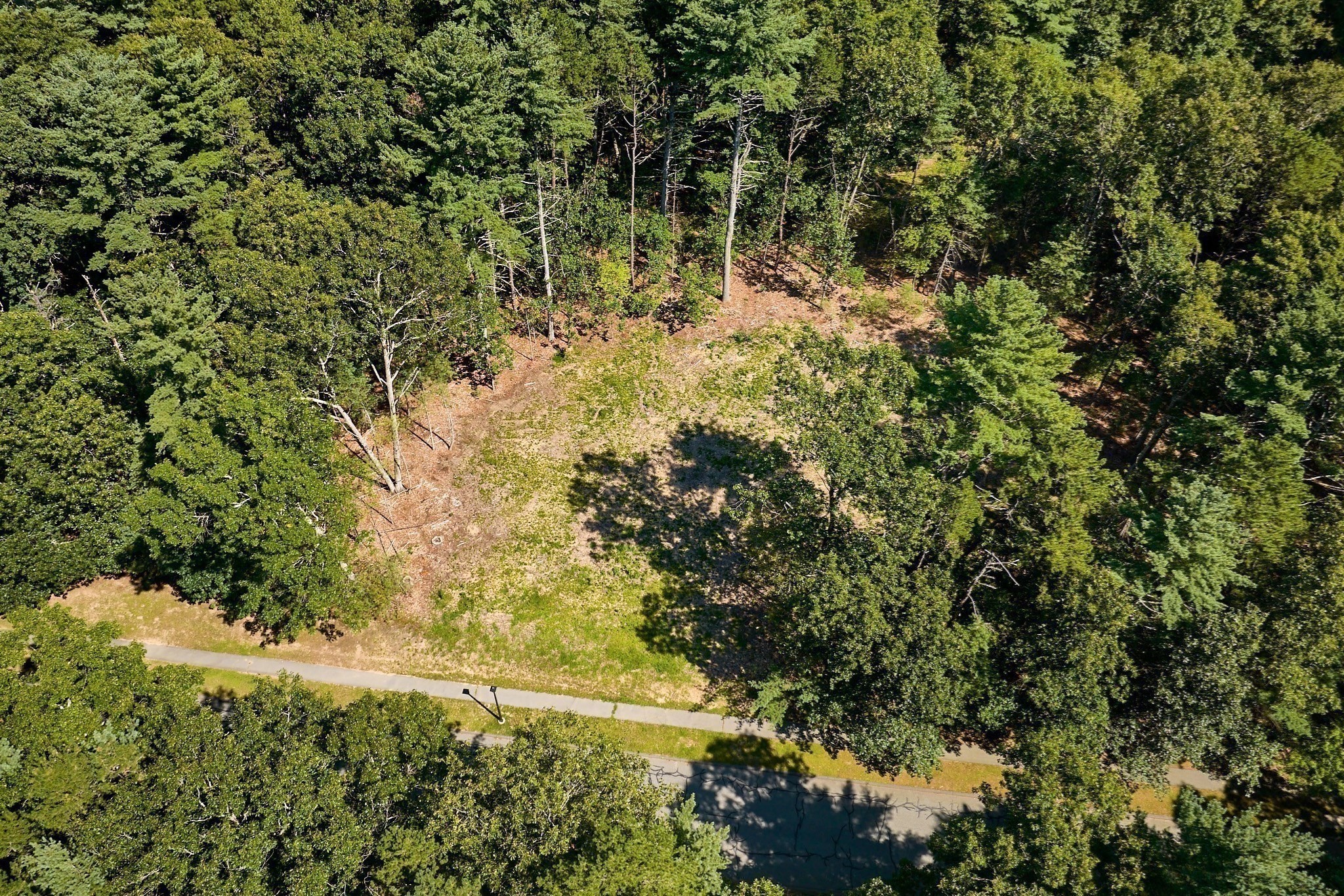 130 Woodland Drive Property Photo 3