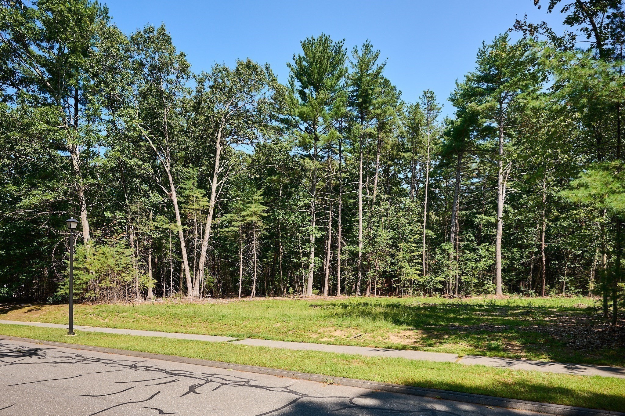 130 Woodland Drive Property Photo 6