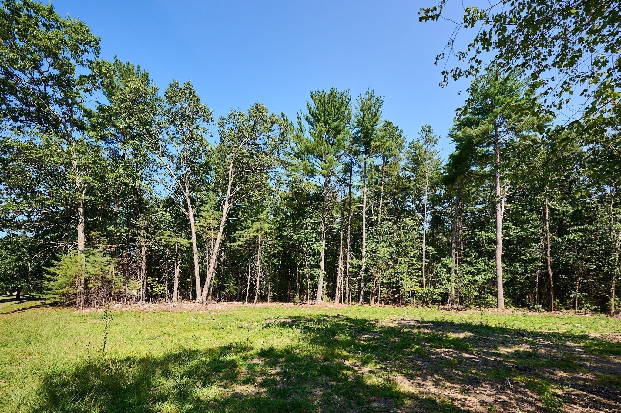 130 Woodland Drive Property Photo 7