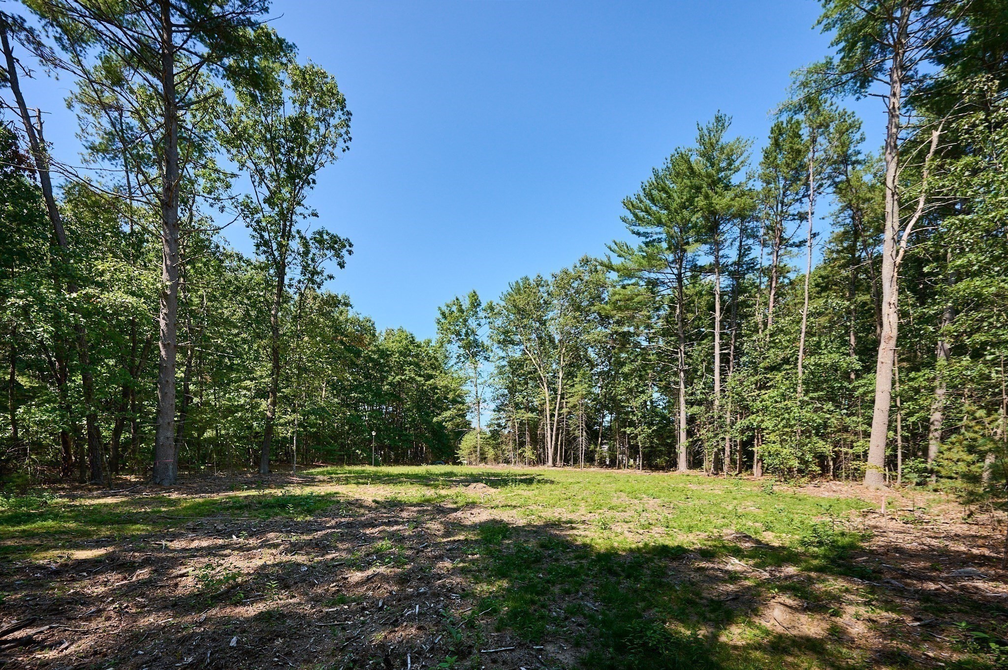 130 Woodland Drive Property Photo 8
