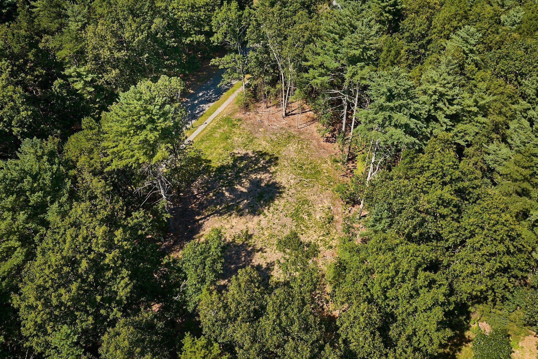 130 Woodland Drive Property Photo 12