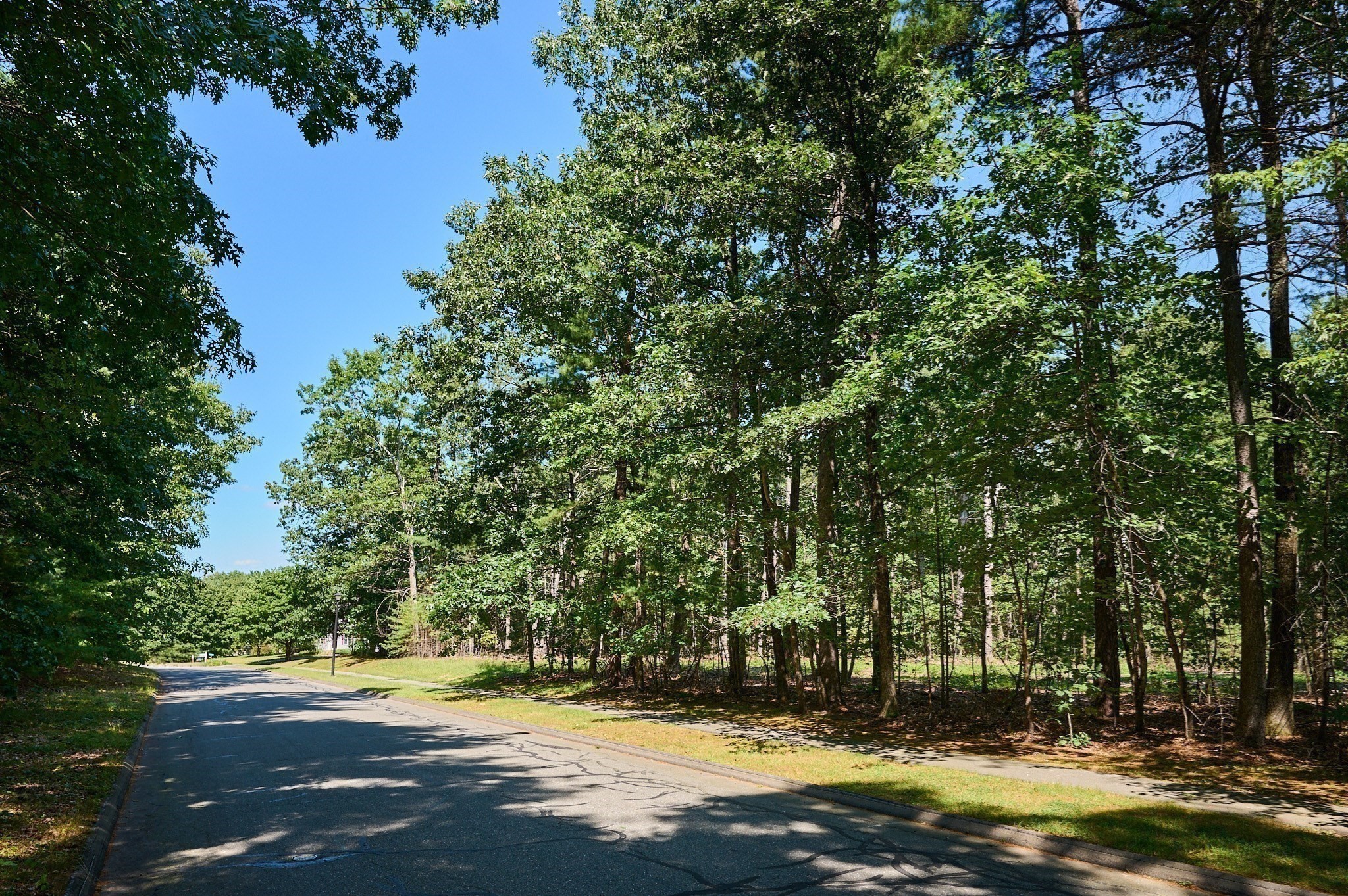 130 Woodland Drive Property Photo 15