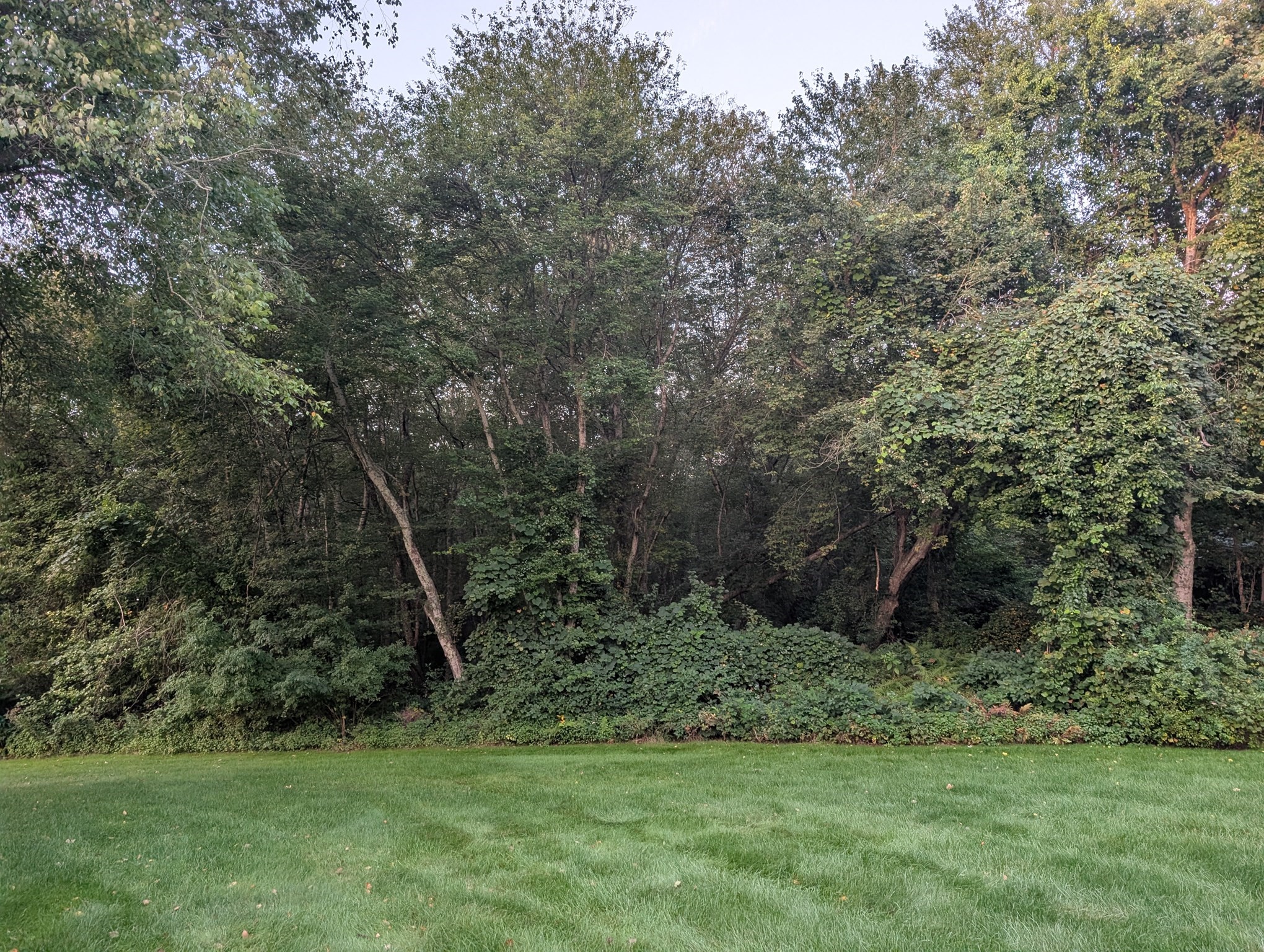 139 Meadow Brook Lane Property Photo 1
