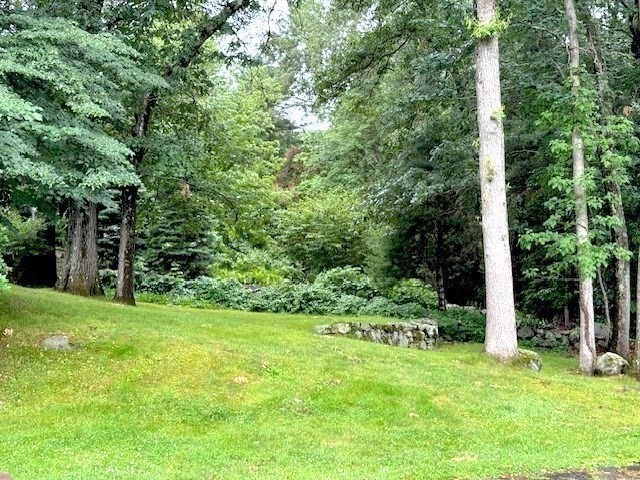 40 Woodfall Rd Property Photo 32