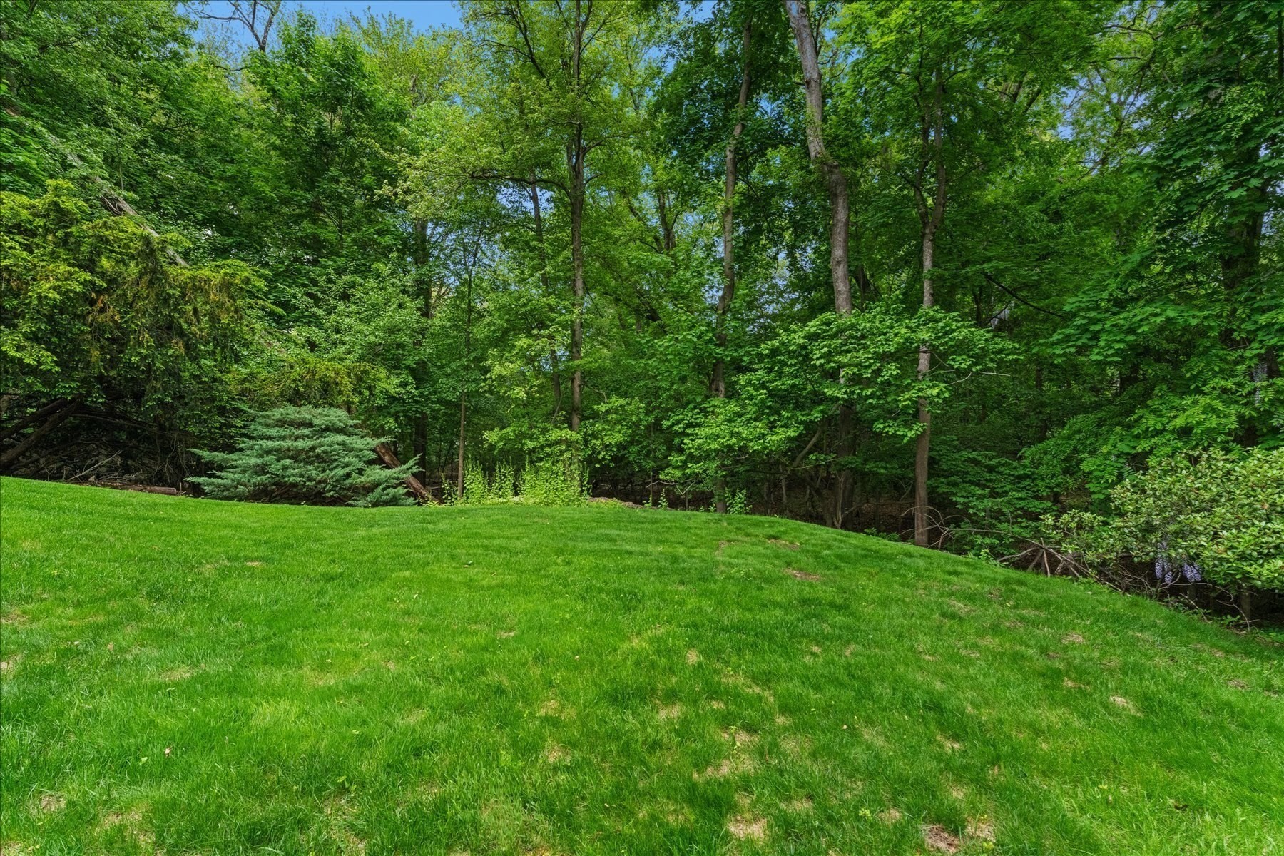 41-a Hunnewell Street Property Photo 15